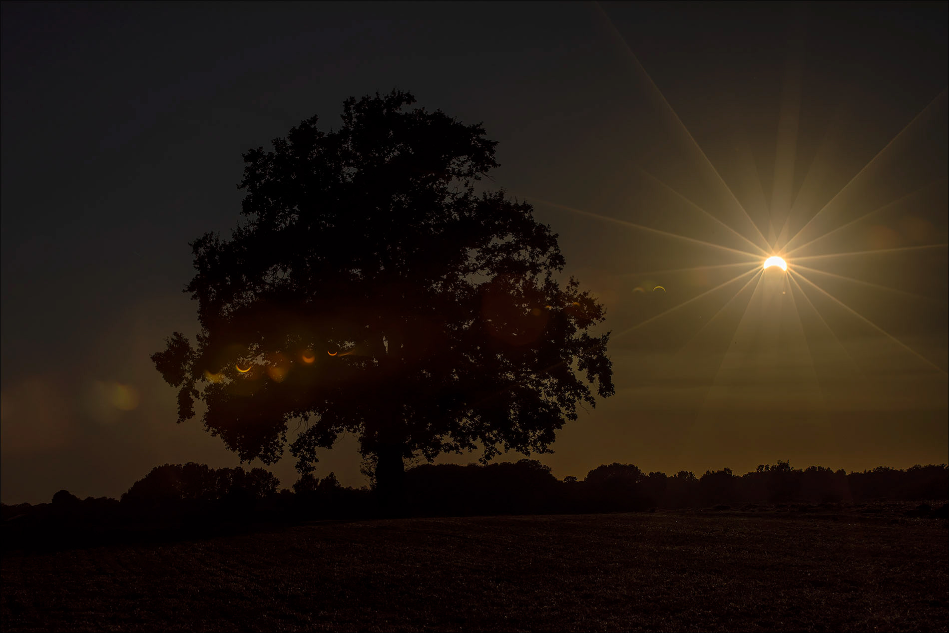 Sonnenfinsternis 2026