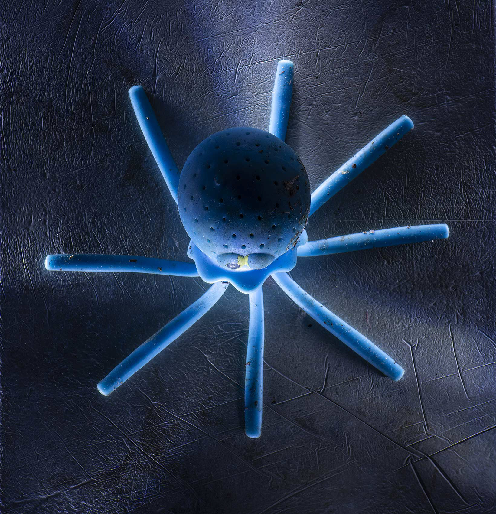 Pick It Up Müllprojekt Gummioktopus