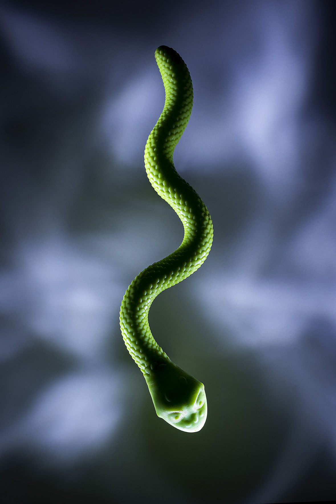 Pick It Up Müllprojekt Plastikschlange