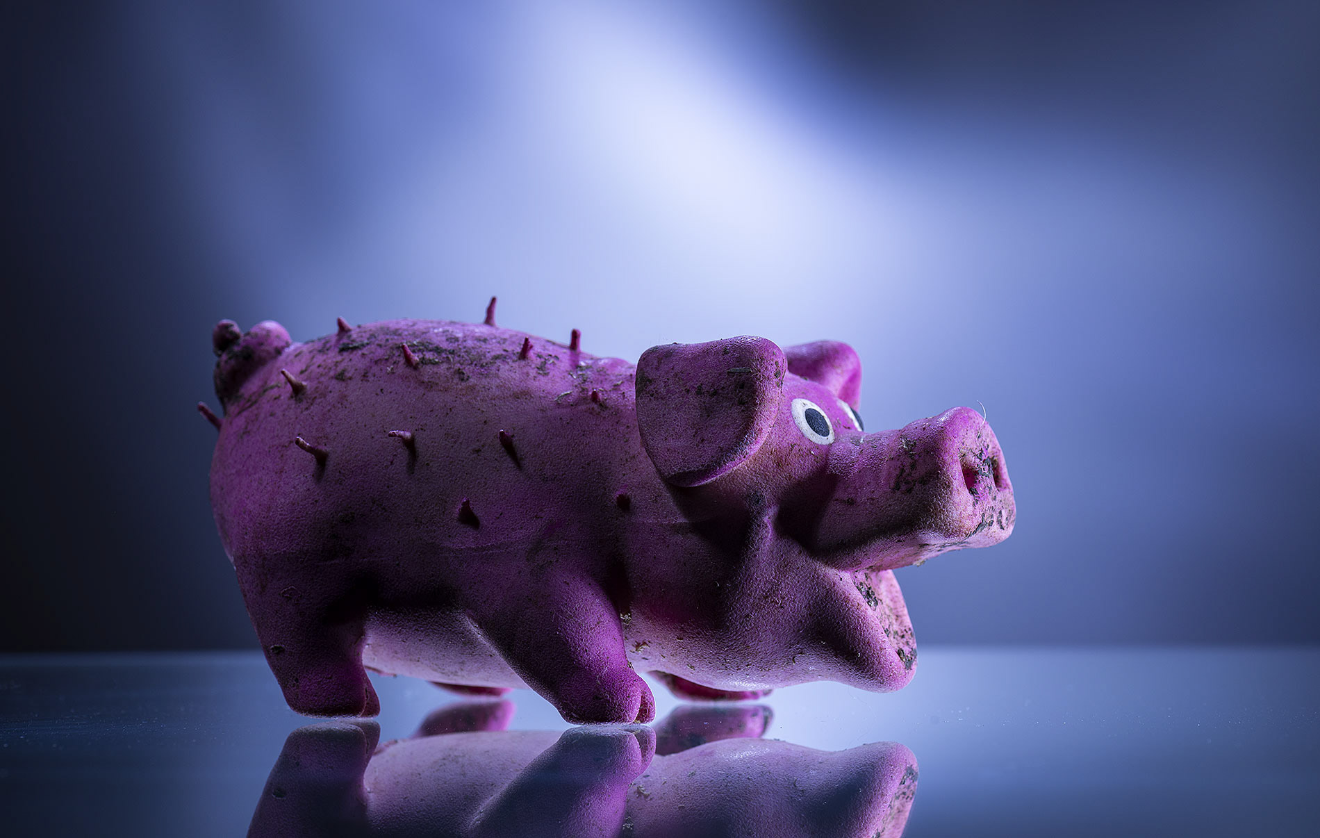 Pick It Up Müllprojekt Gummischwein