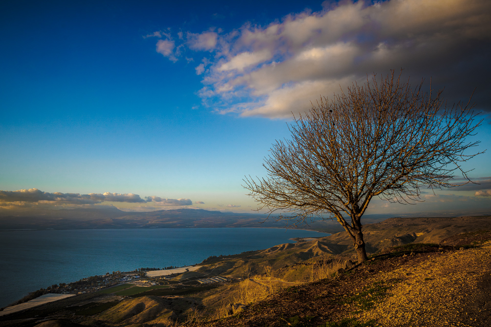 Golan Heights/Kinneret
