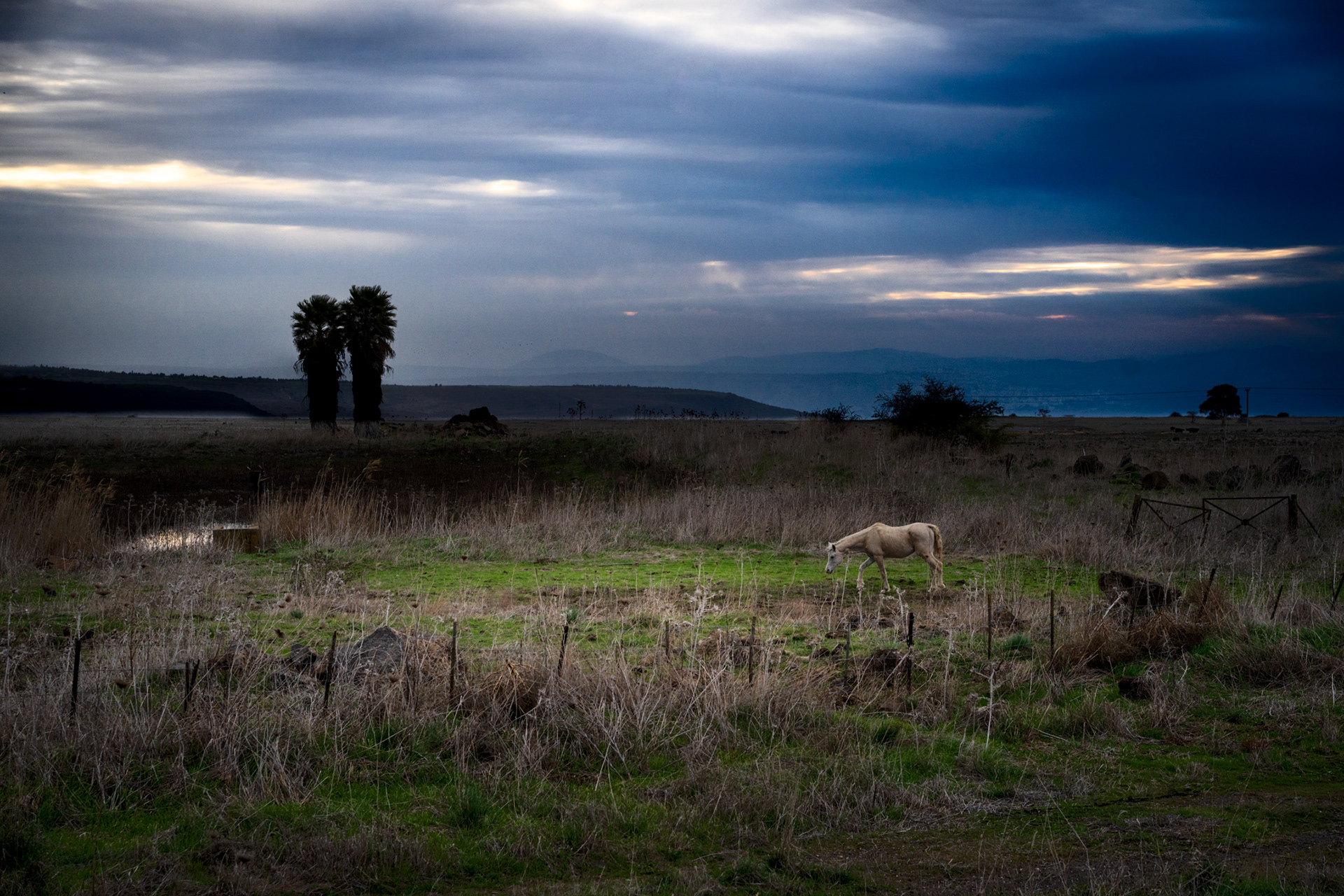 near Natur, Golan Heights
