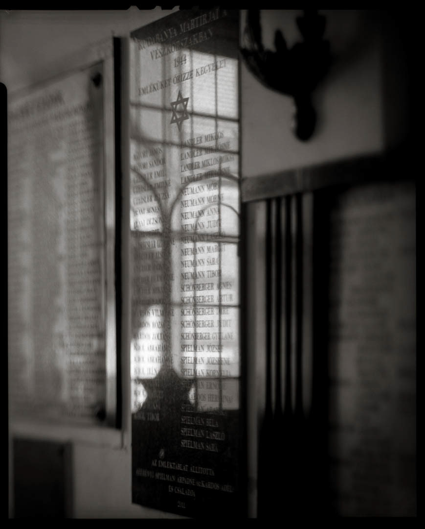 From "The Last Jews of Hungary"