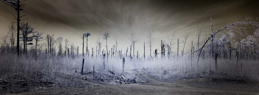 Four years after the tornadoes