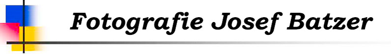 Josef Batzer