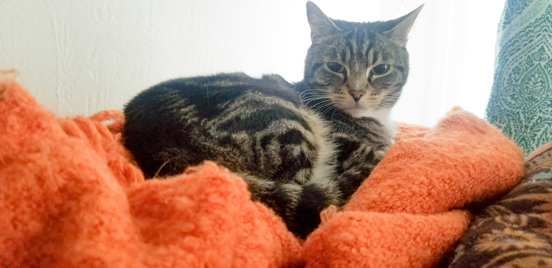 Elliiot in the Living Room