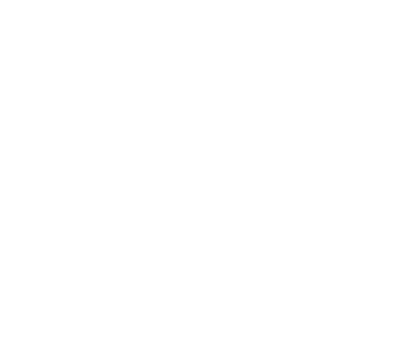 thefolli