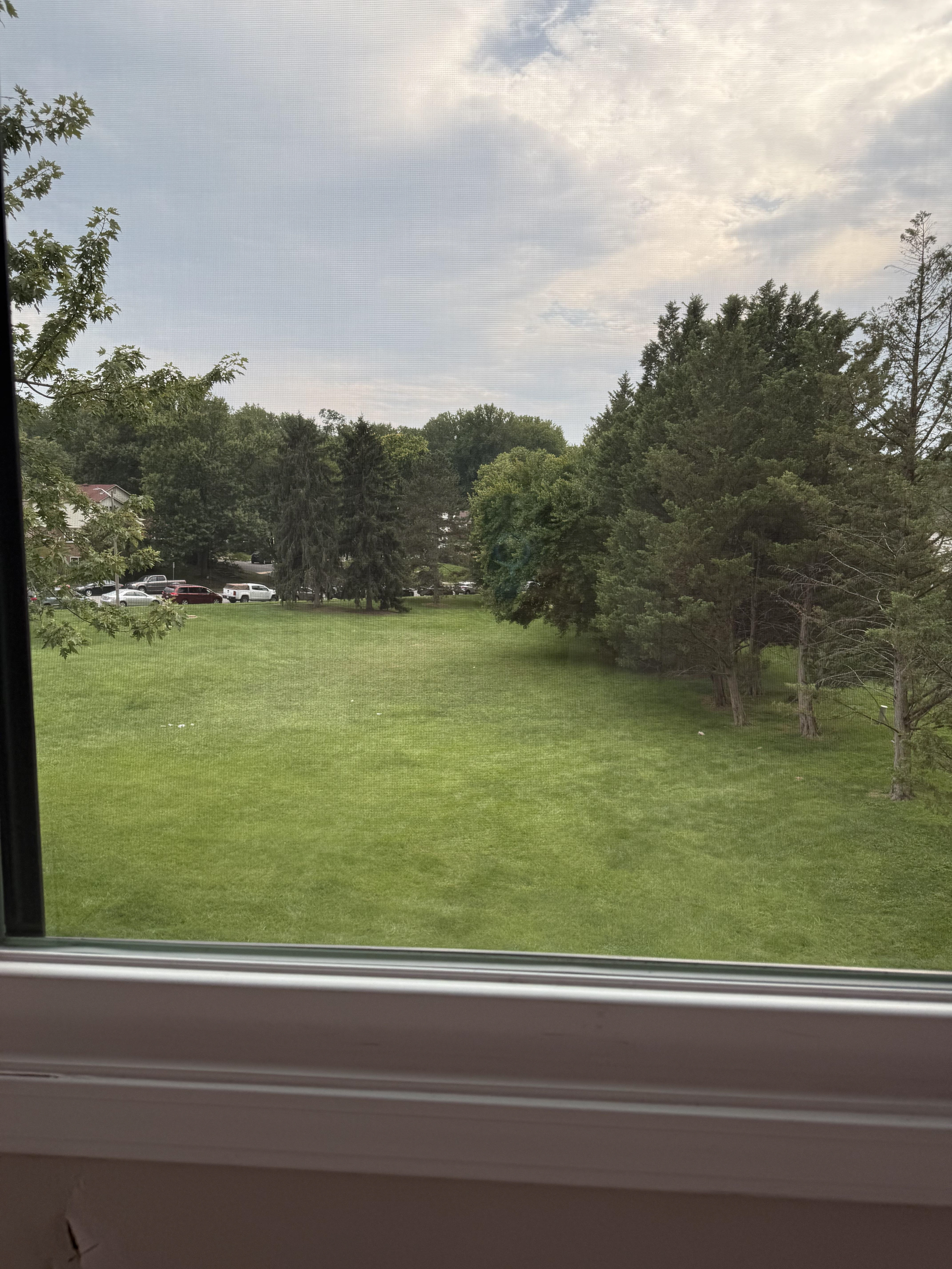 View from Window
