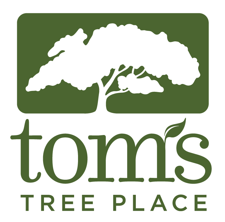 Tom's Tree Place