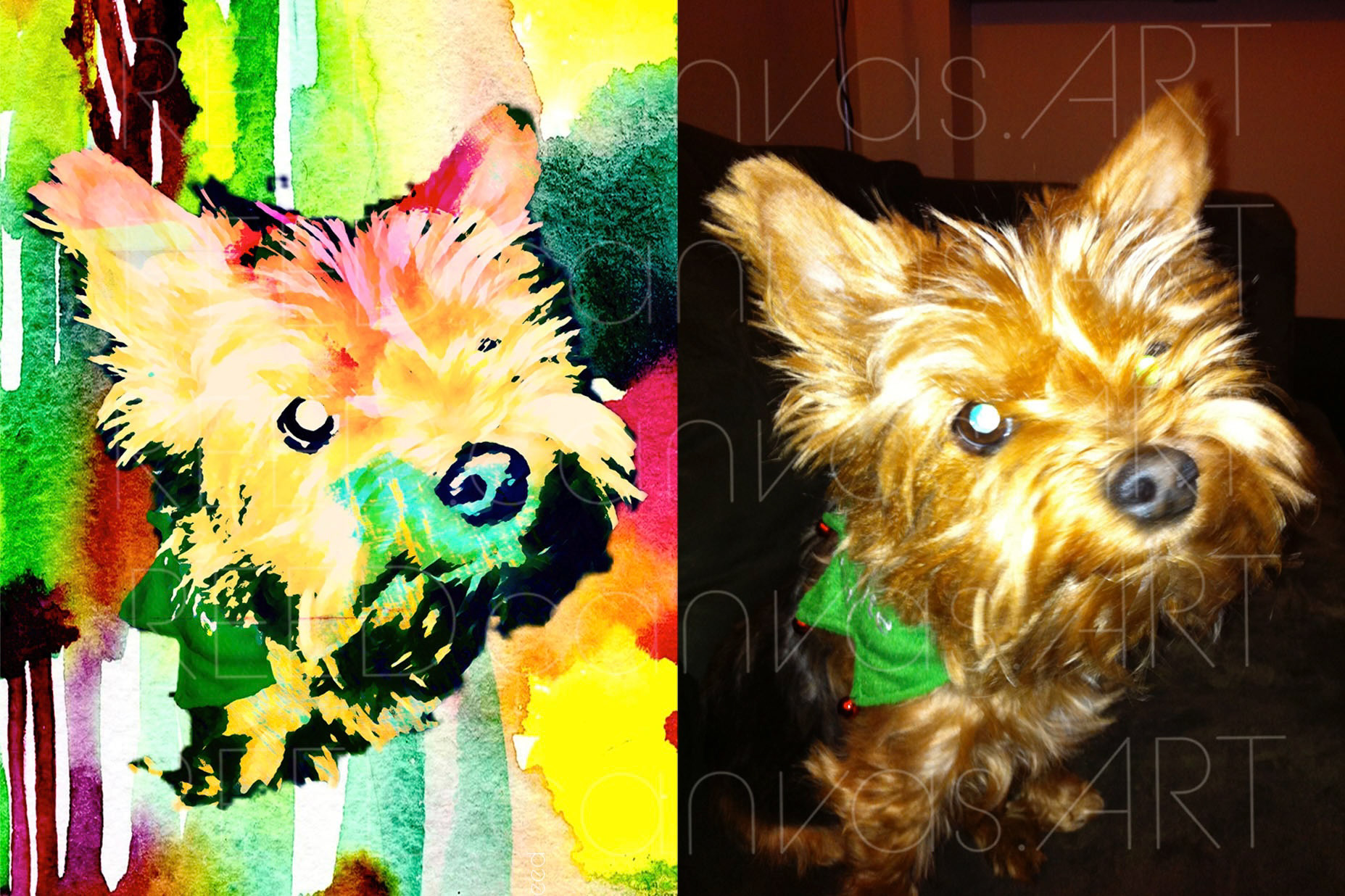 Before & After