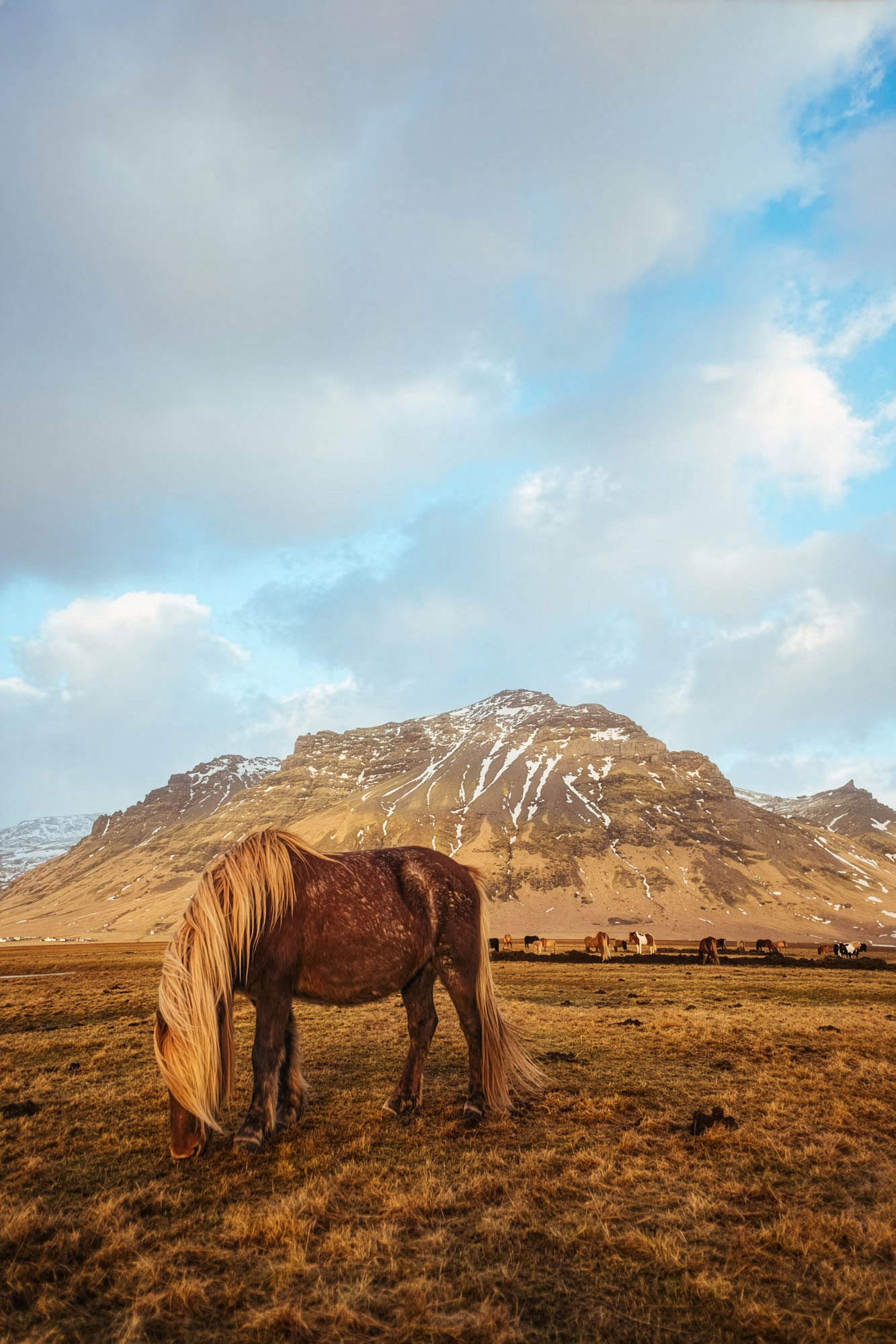 Western 001
