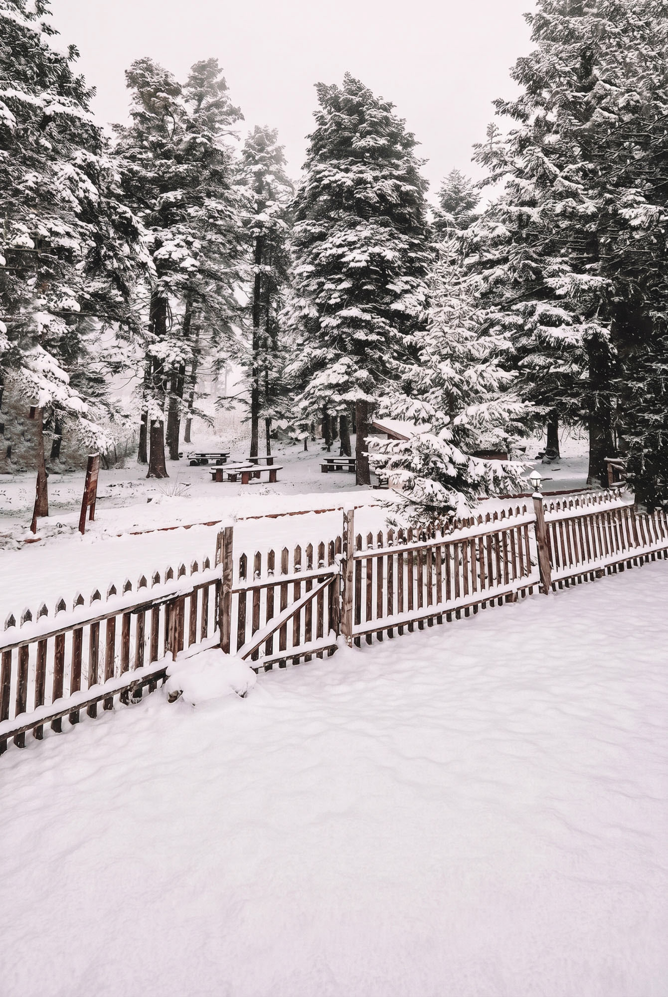 Snow 001