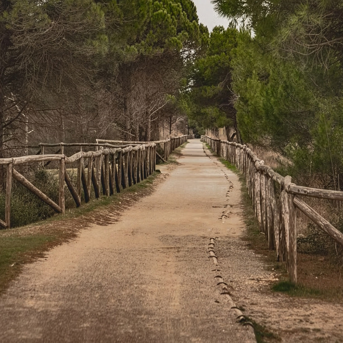 Landscapes 004