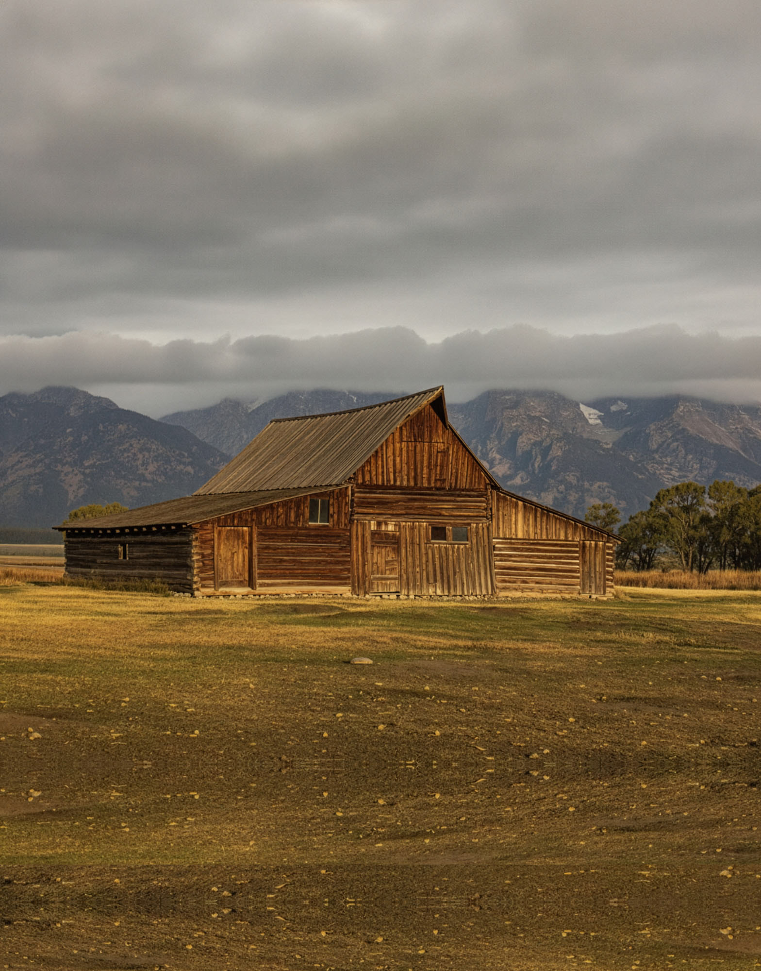Landscape 007
