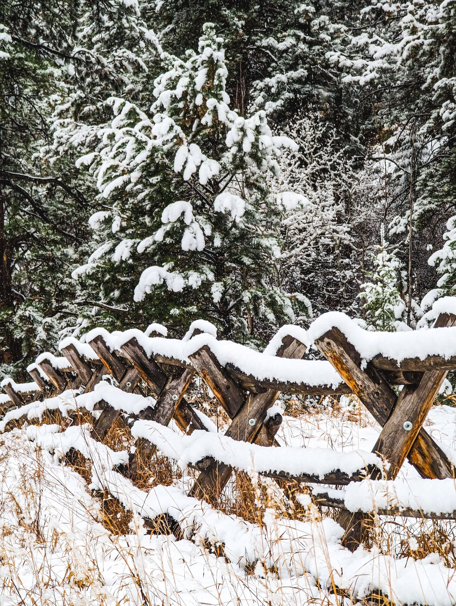 Snow 002