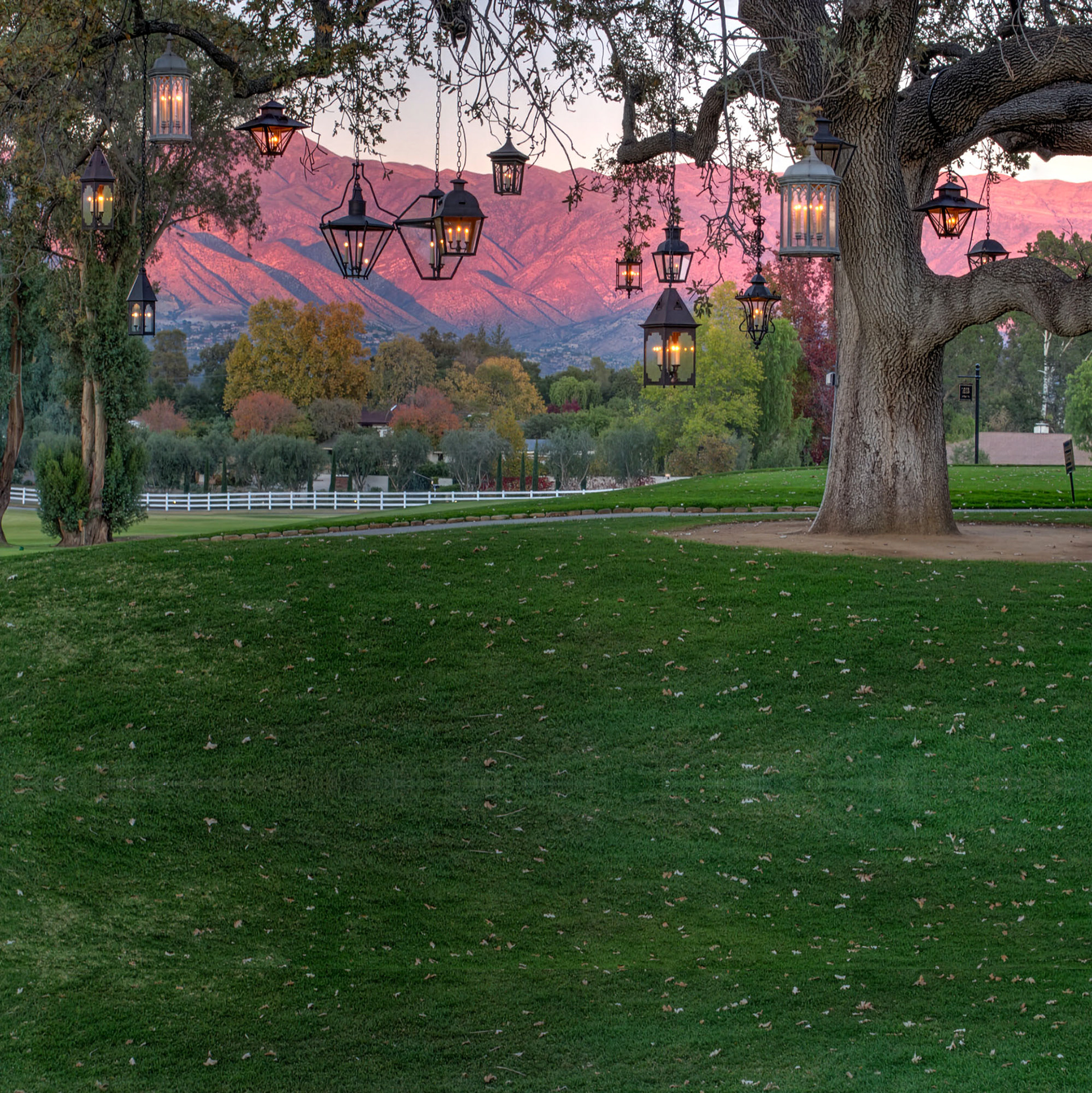 Landscape 008