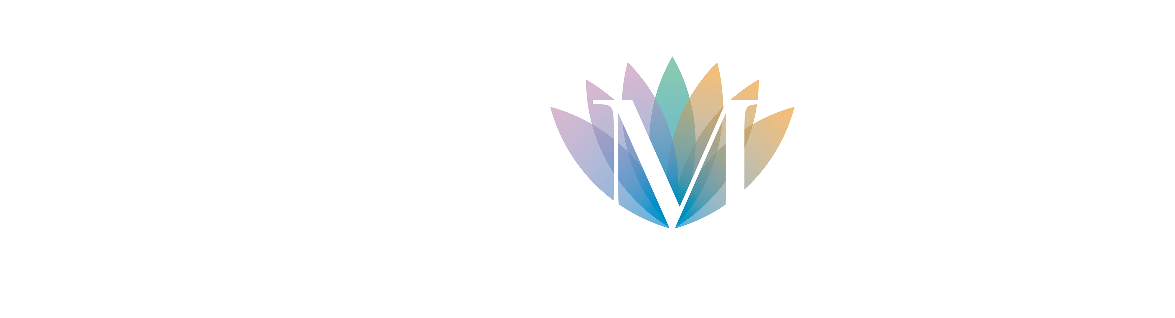 Logo com as três letras iniciais de Ana Lucia Montenegro