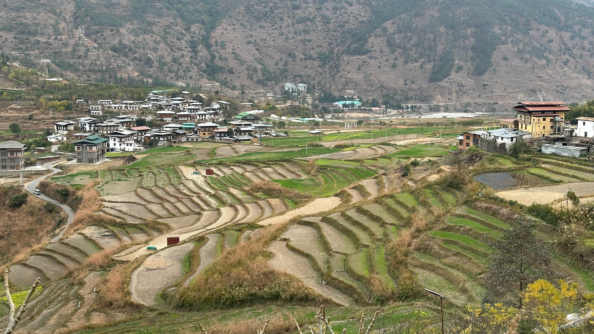 Punakha-Valley