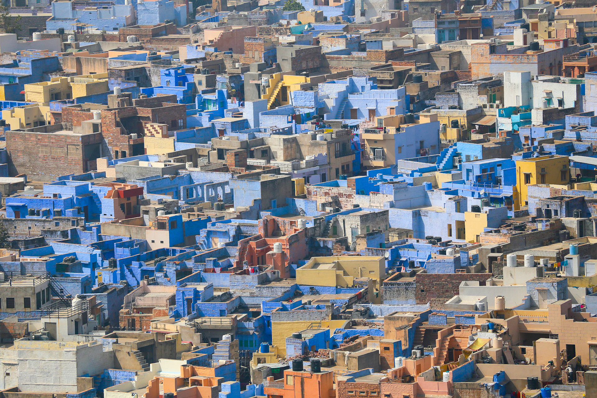 Jodhpur