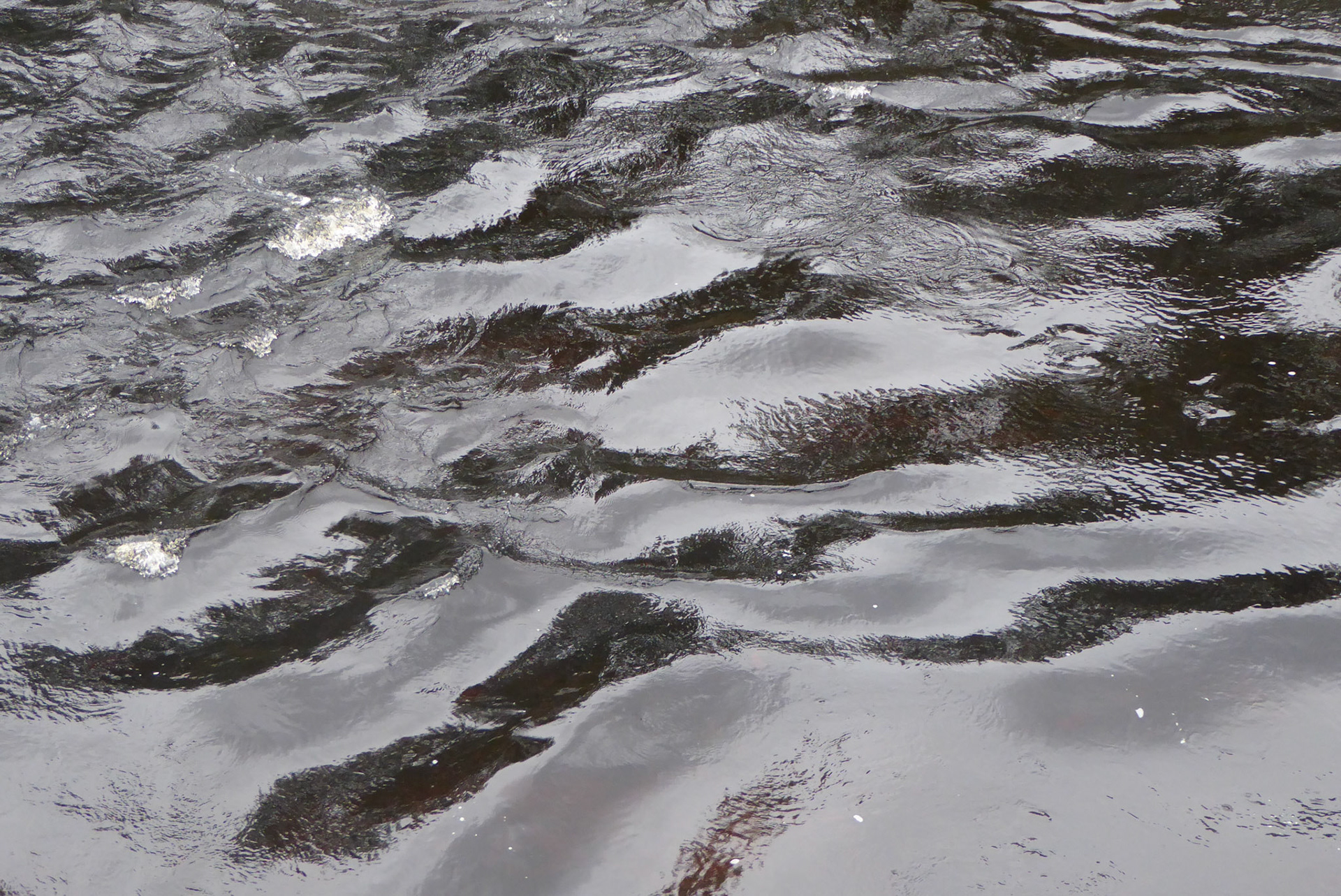 Wellen des Huon River