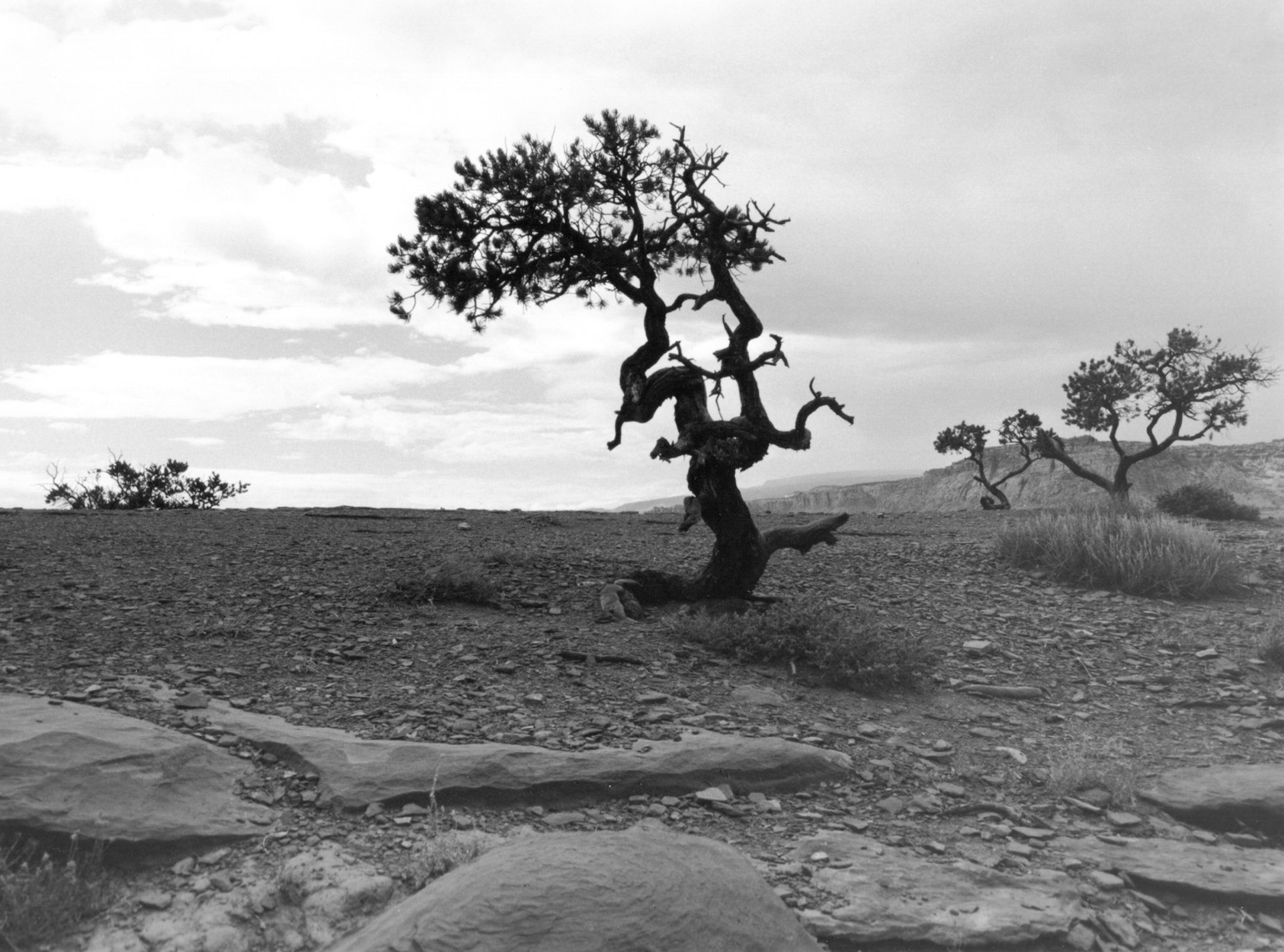 Capitol Reef National Park, Utah