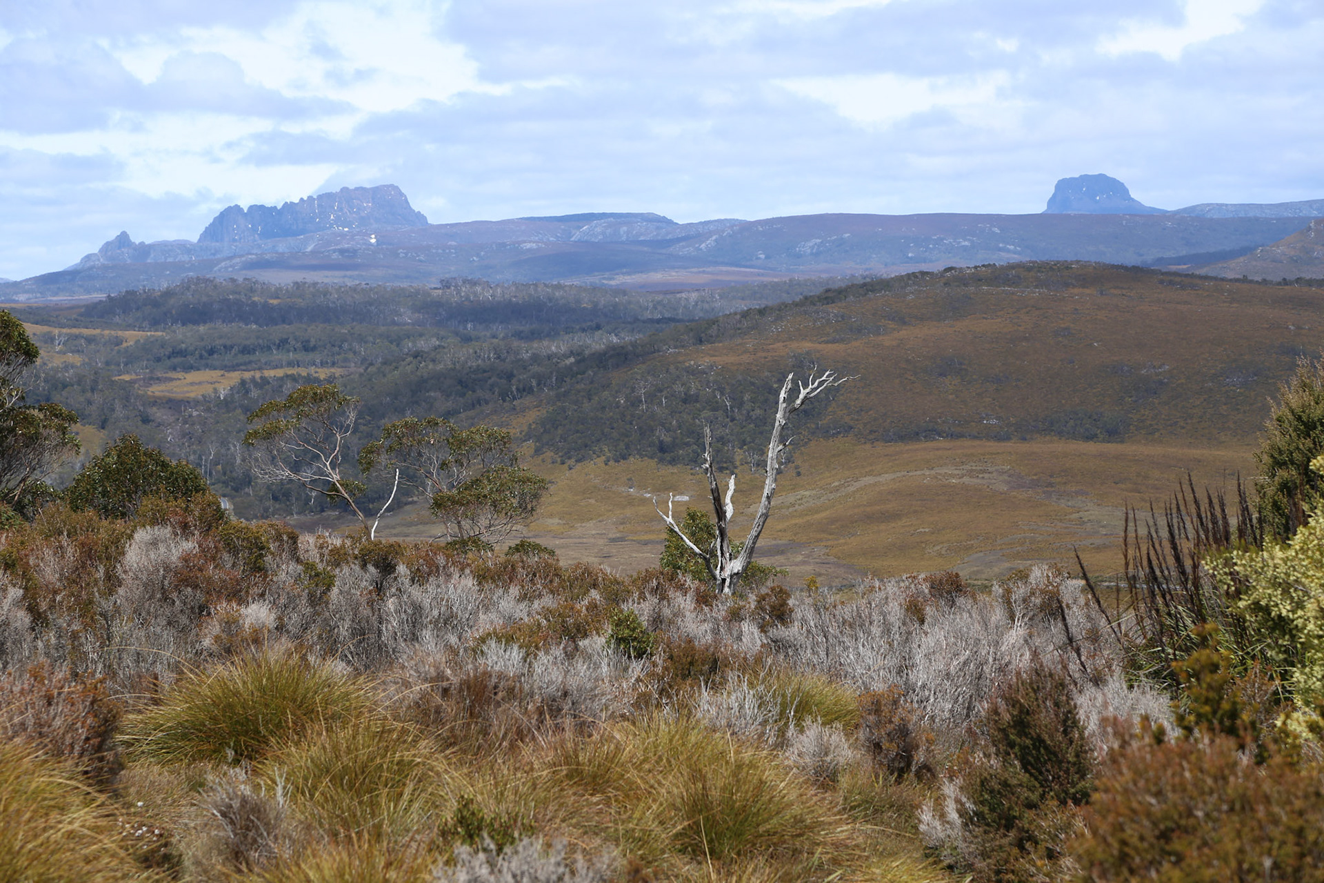 Cradle Mountain Nationalpark