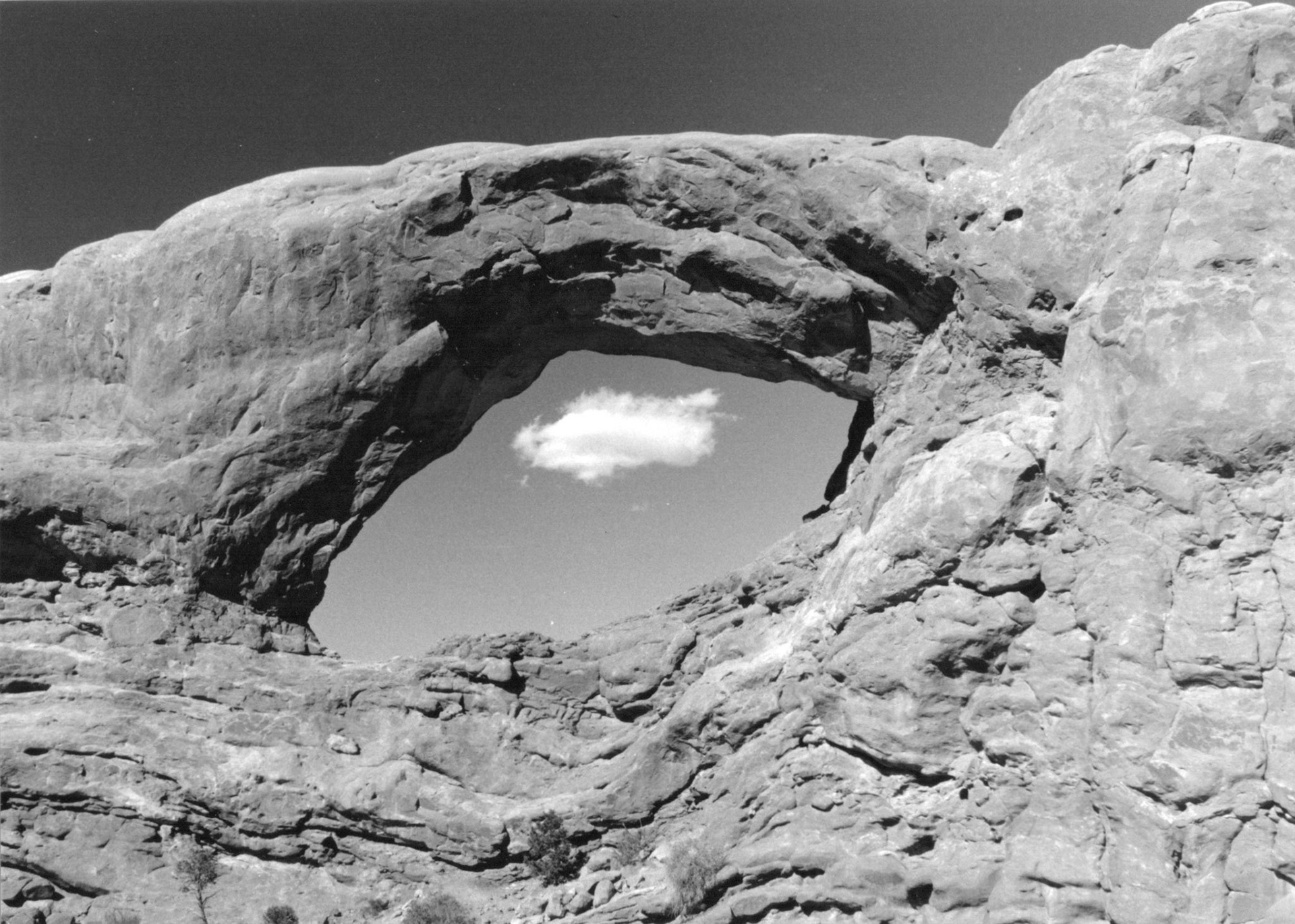 The Windows Section, Arches National Park, Utah