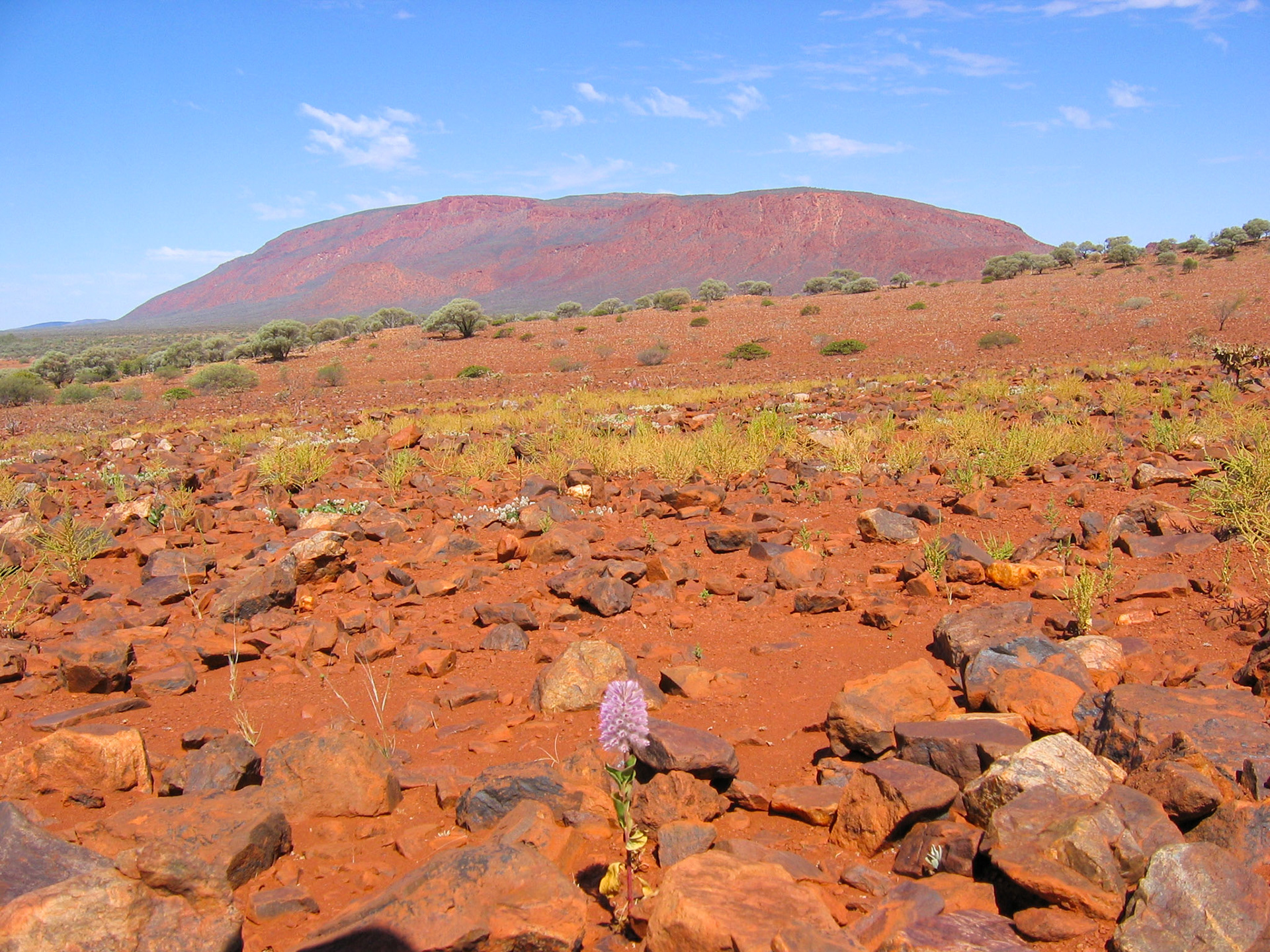 Mount-Augustus Nationalpark 2005