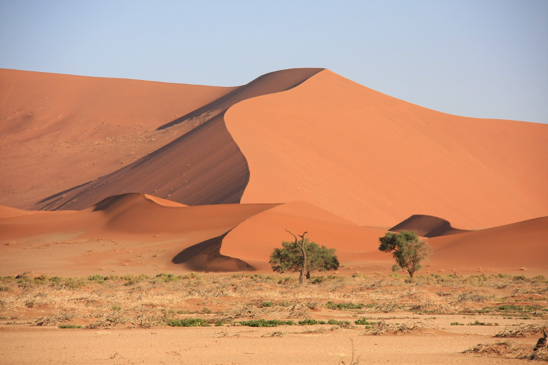 Sossusvlei