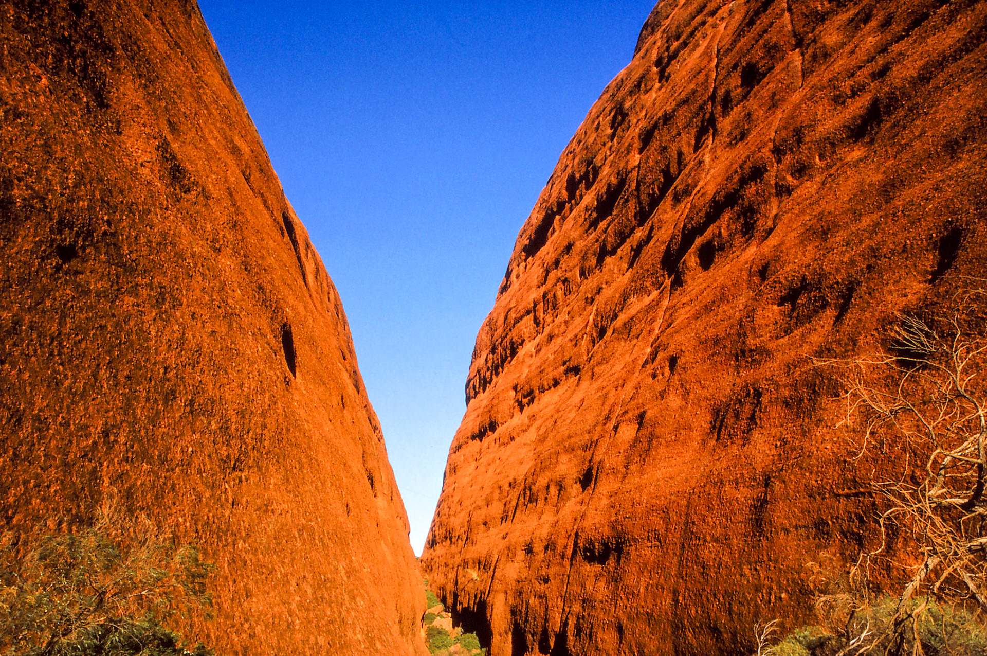 Kata Tjuta (Mount Olgas) 1996