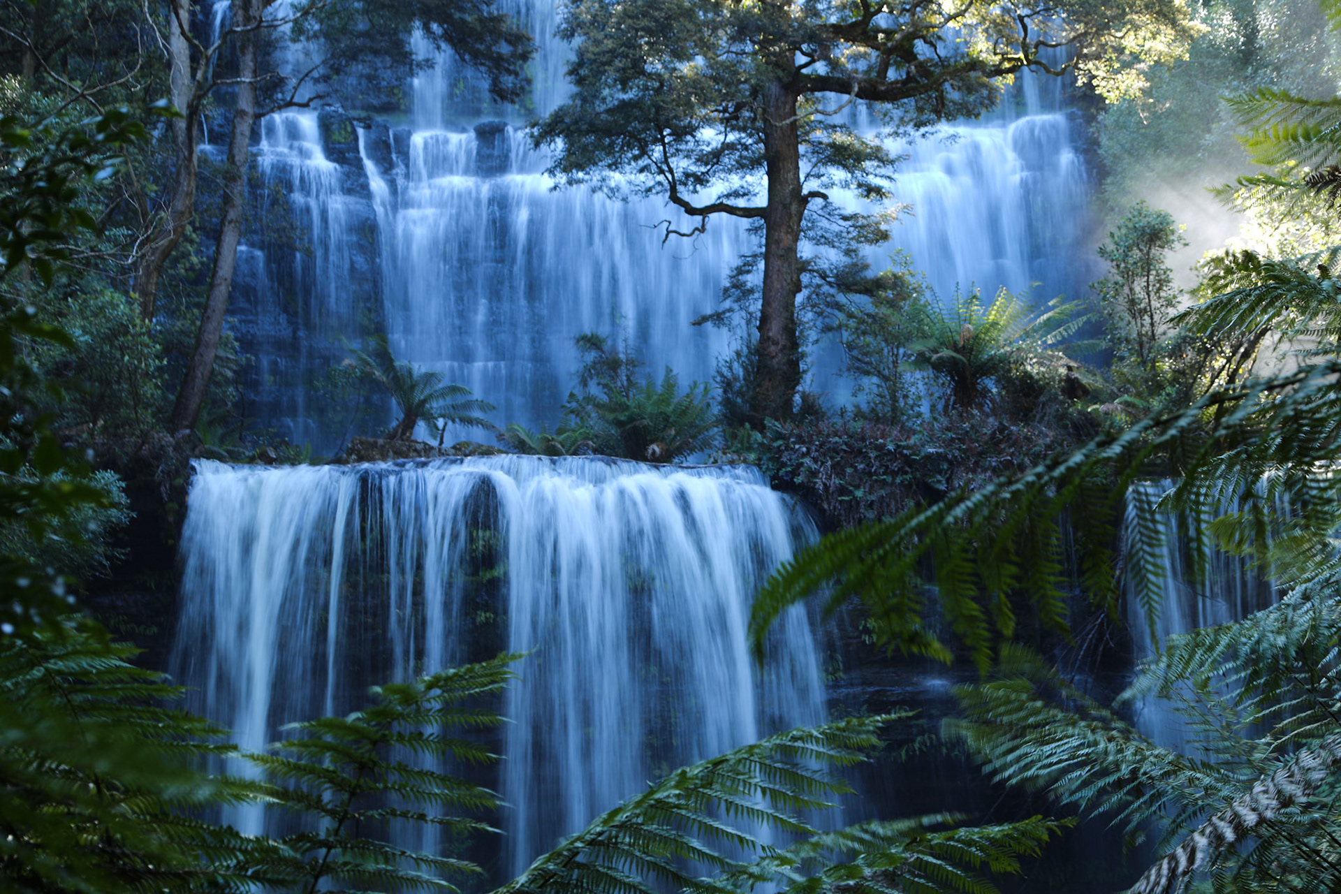 Russell Falls - Mount Field Nationalpark