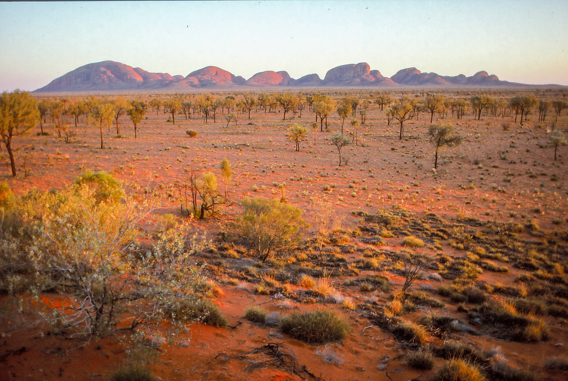 Kata Tjuta (Mount Olgas) 1996