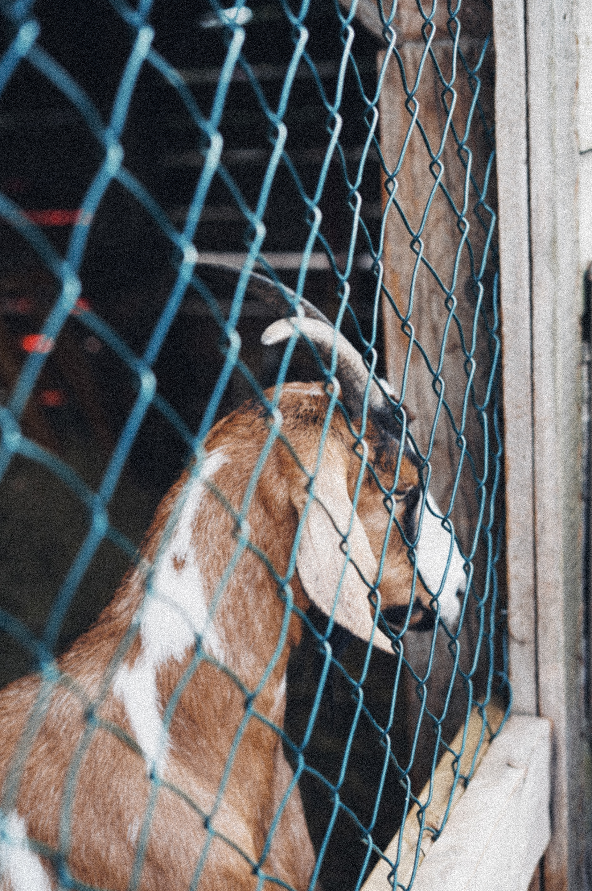 Sony a7 III / Munich, Germany 🇩🇪