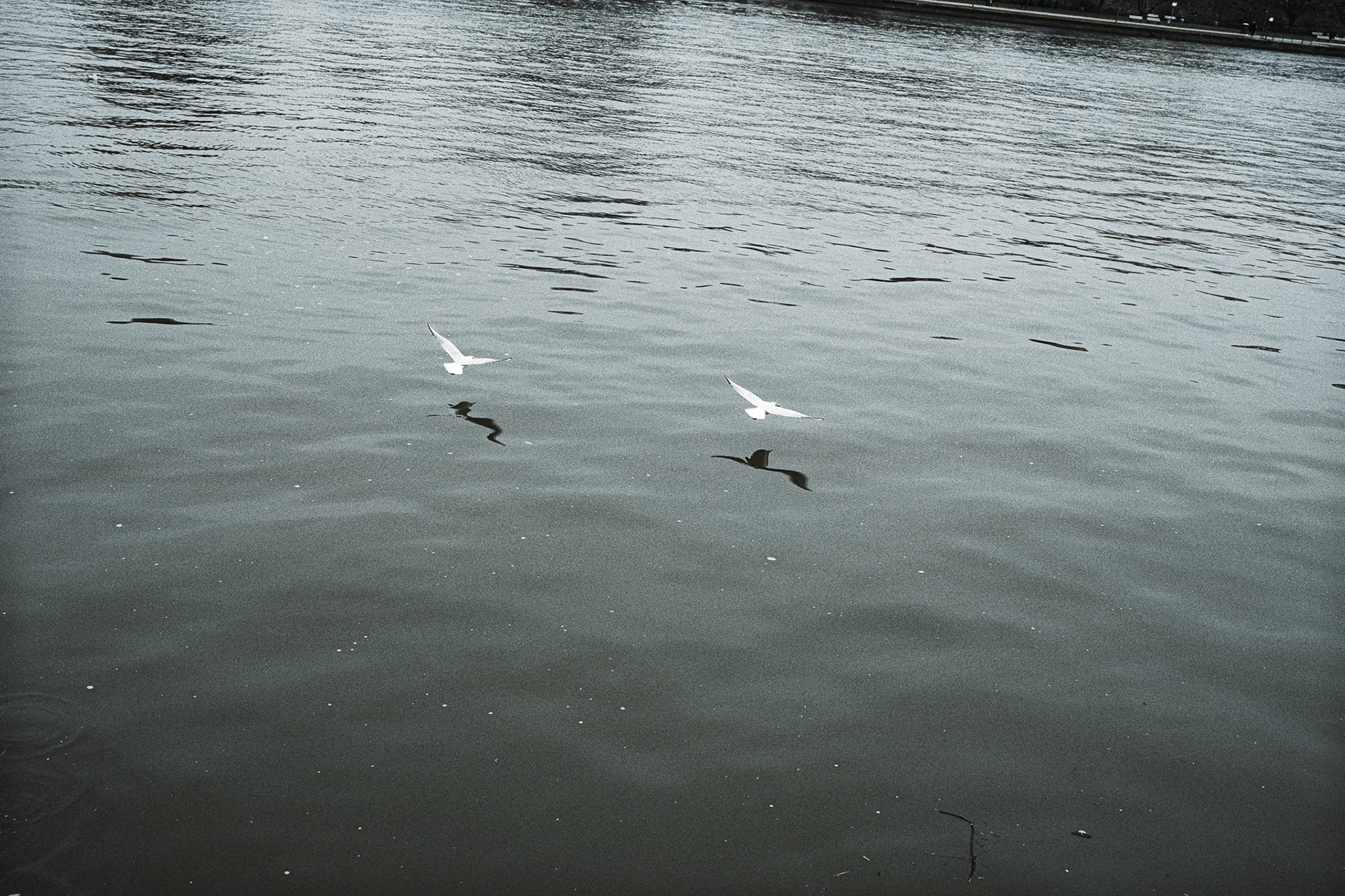 FUJI X00V