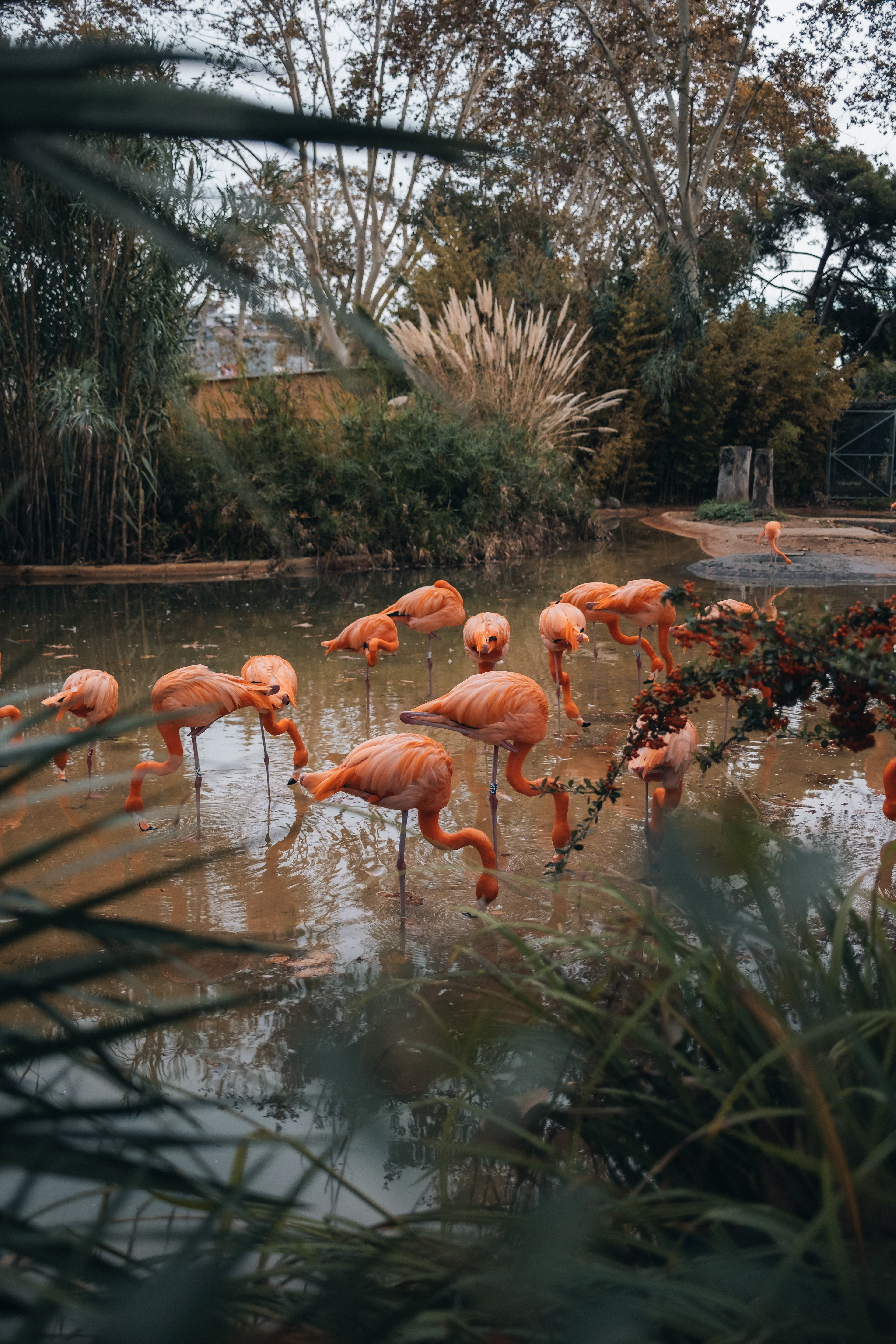 Fuji x100v - Miami, USA 🇺🇸