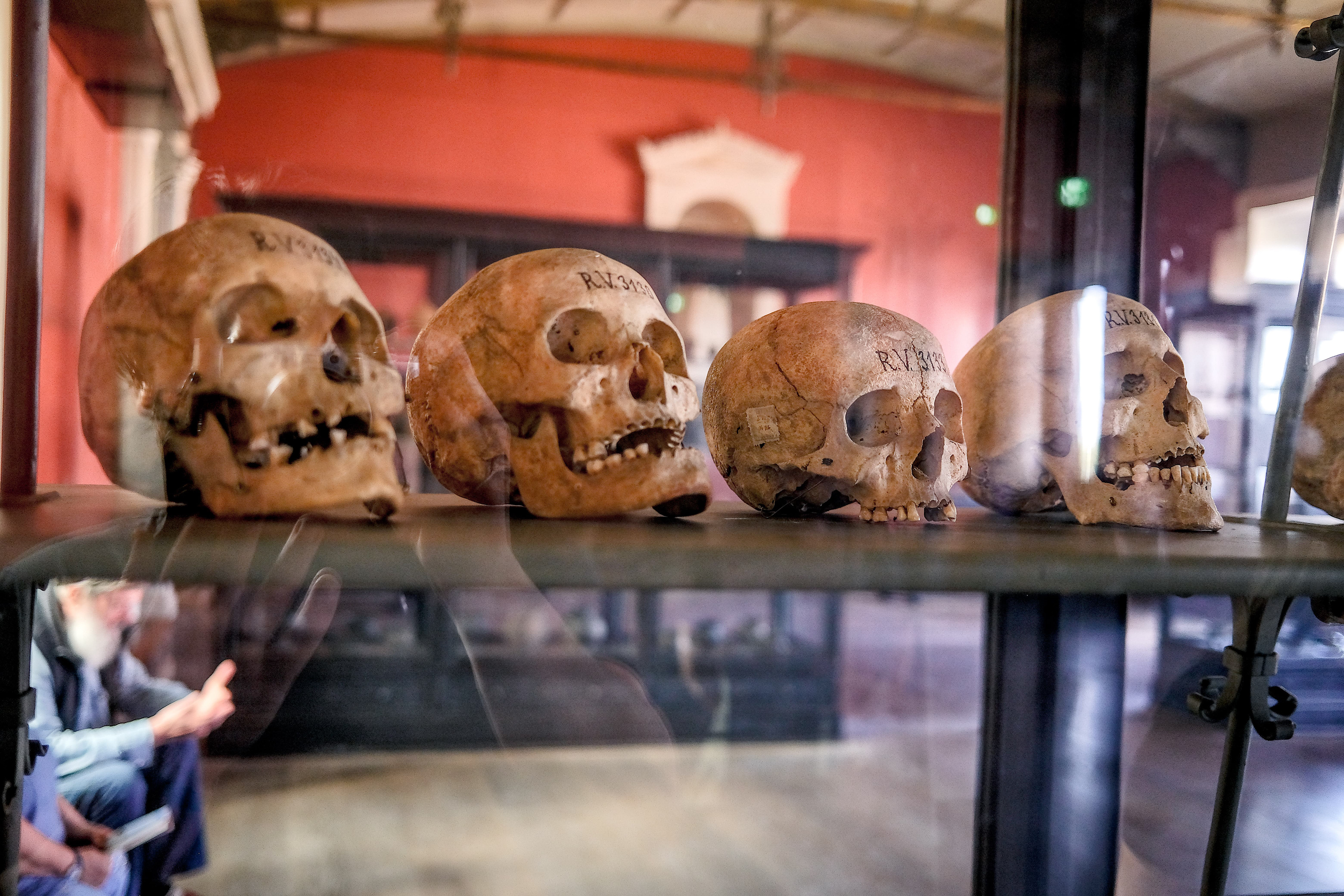 Fuji x100v - Berlin, Germany 🇩🇪