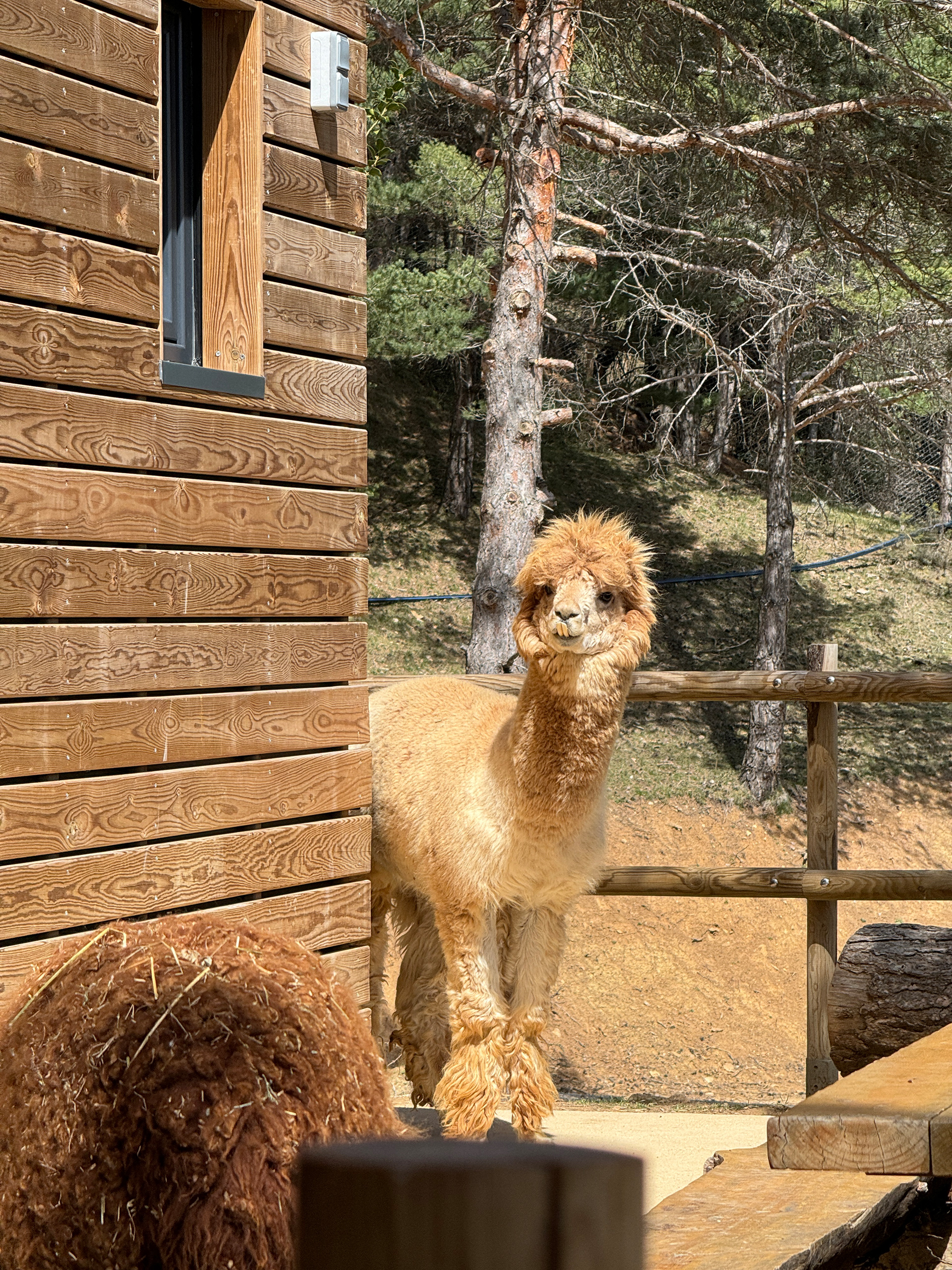 Shot on iPhone 15 Pro Max