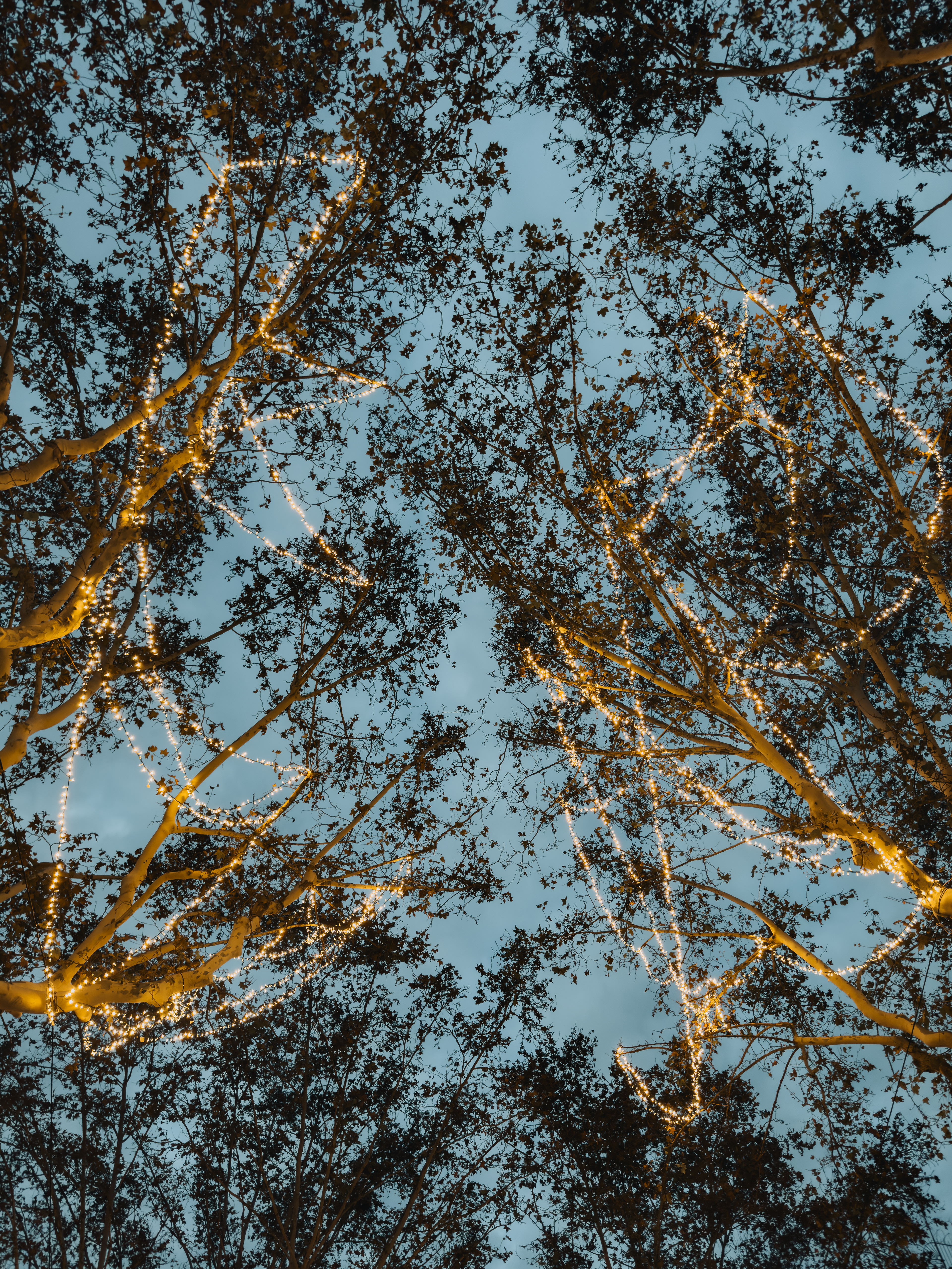 Shot on iPhone 15 Pro Max