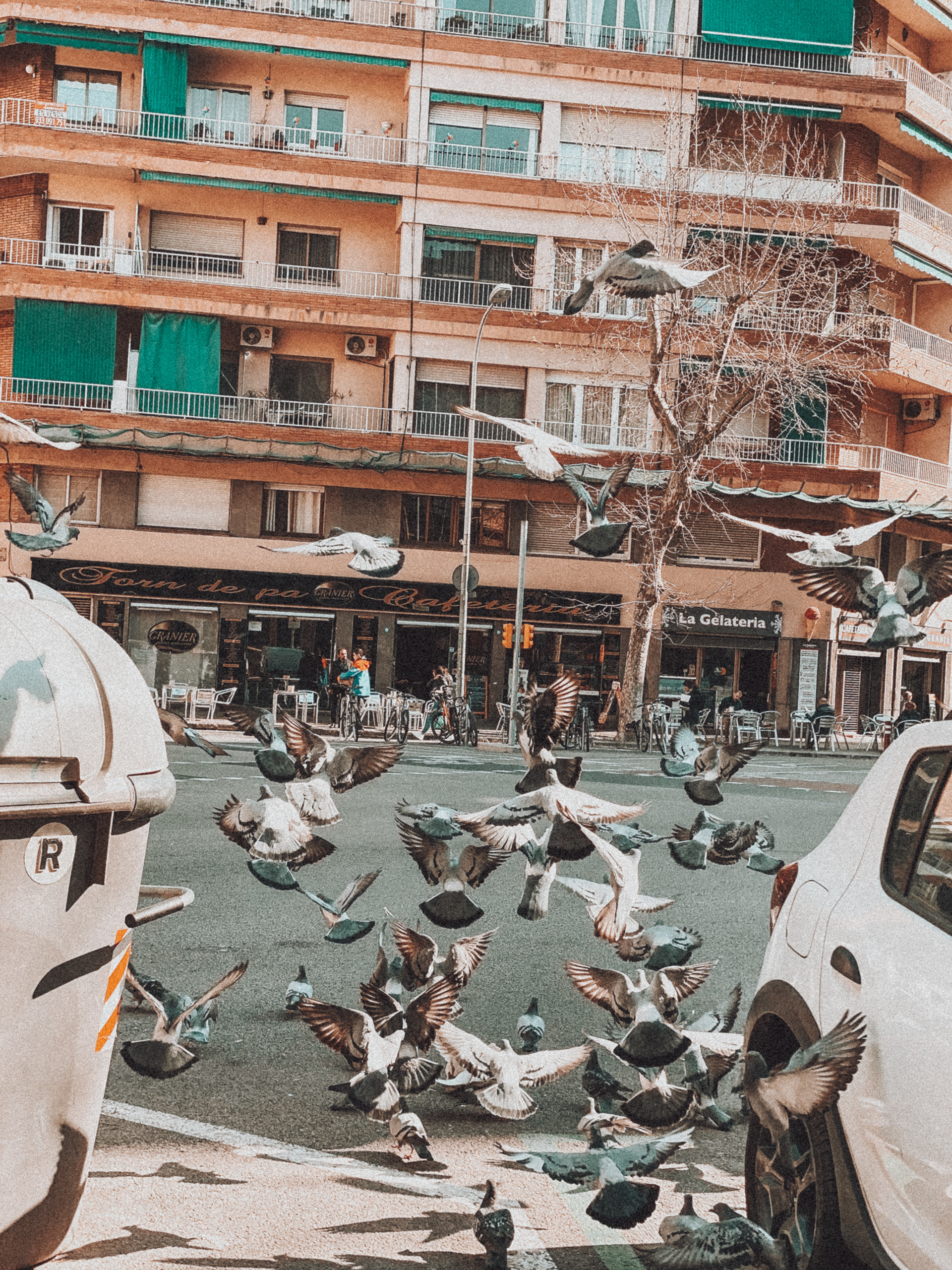 iPhone 12 Pro Max / Barcelona, Spain 🇪🇸