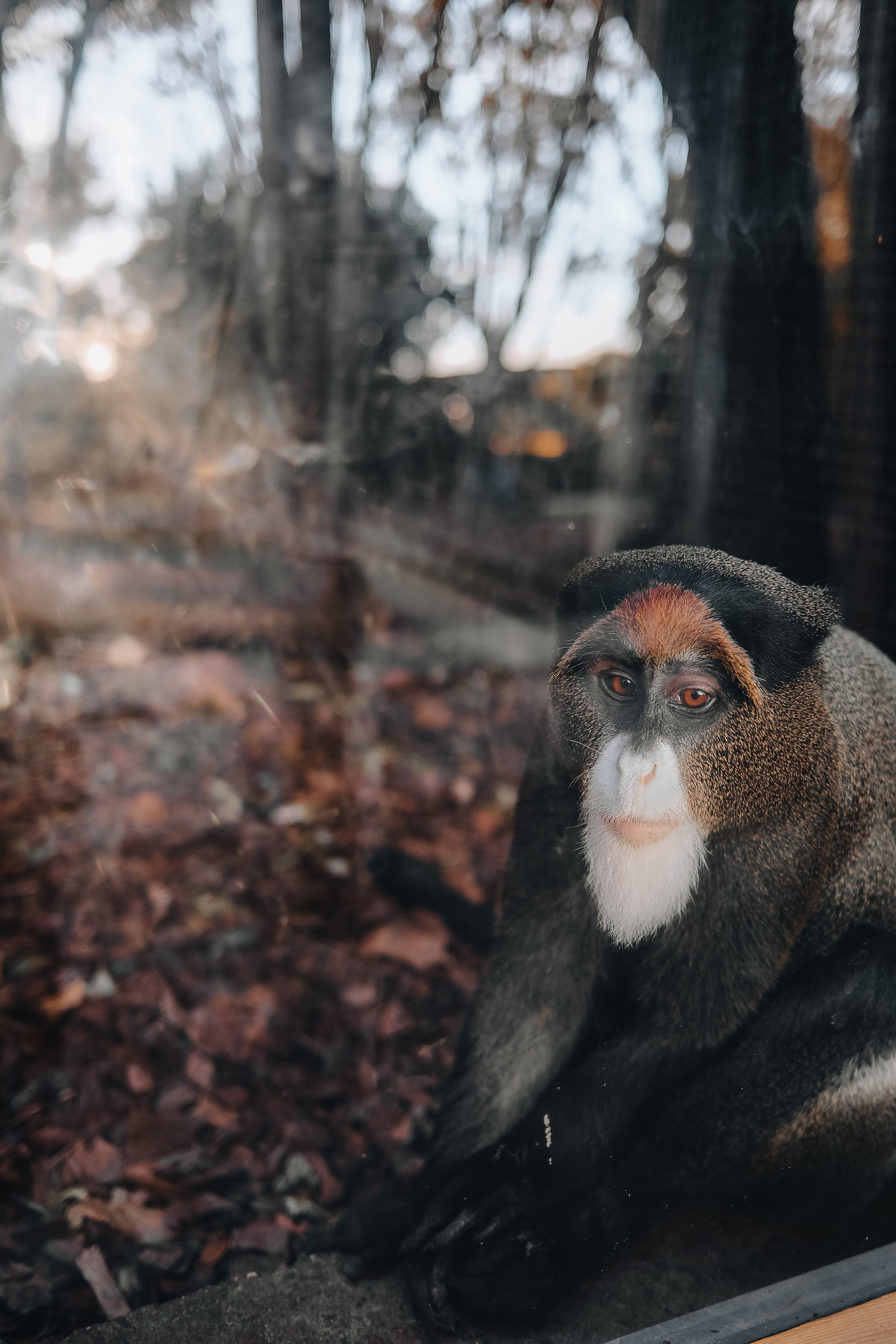 Fuji x100v - Miami, USA 🇺🇸
