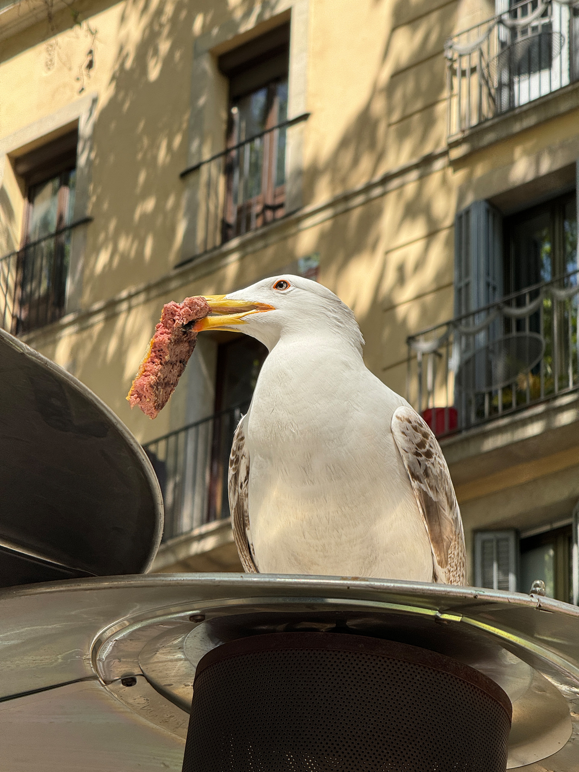 Shot on iPhone 15 Pro Max