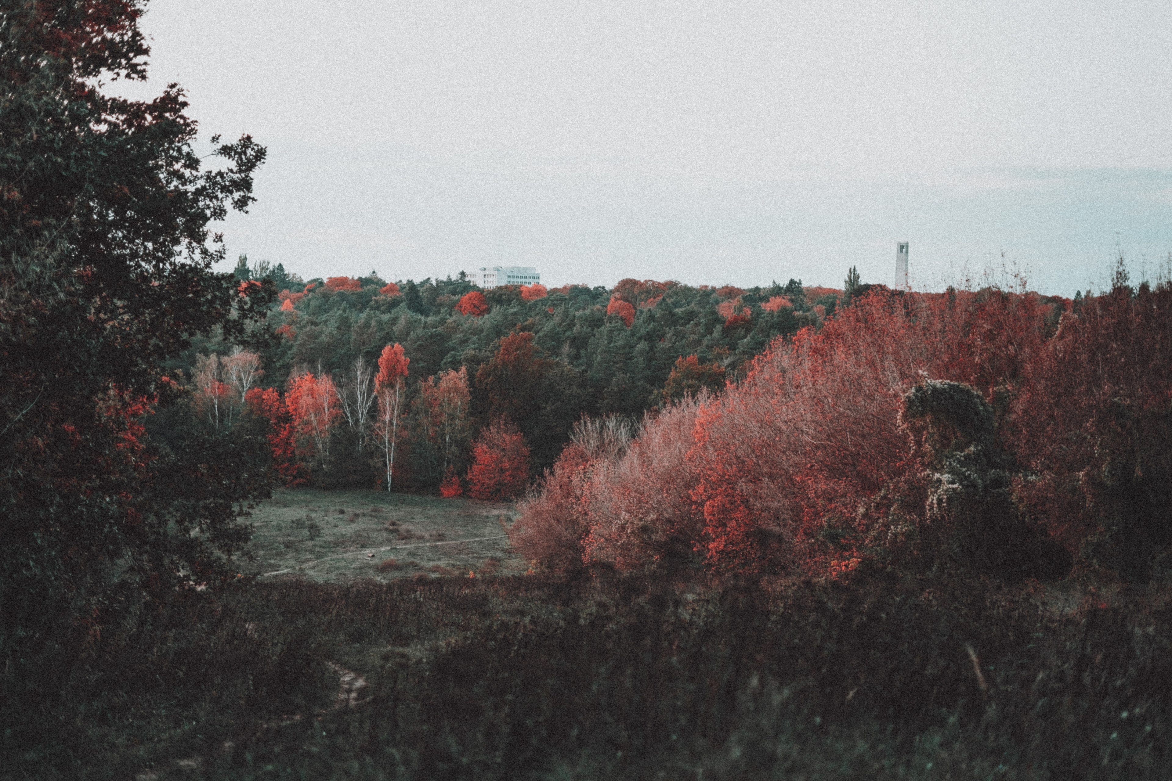 Sony a7 III / Berlin, Germany 🇩🇪