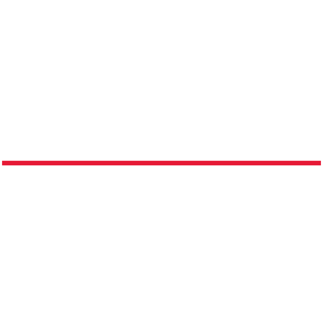Anelka Who Logo