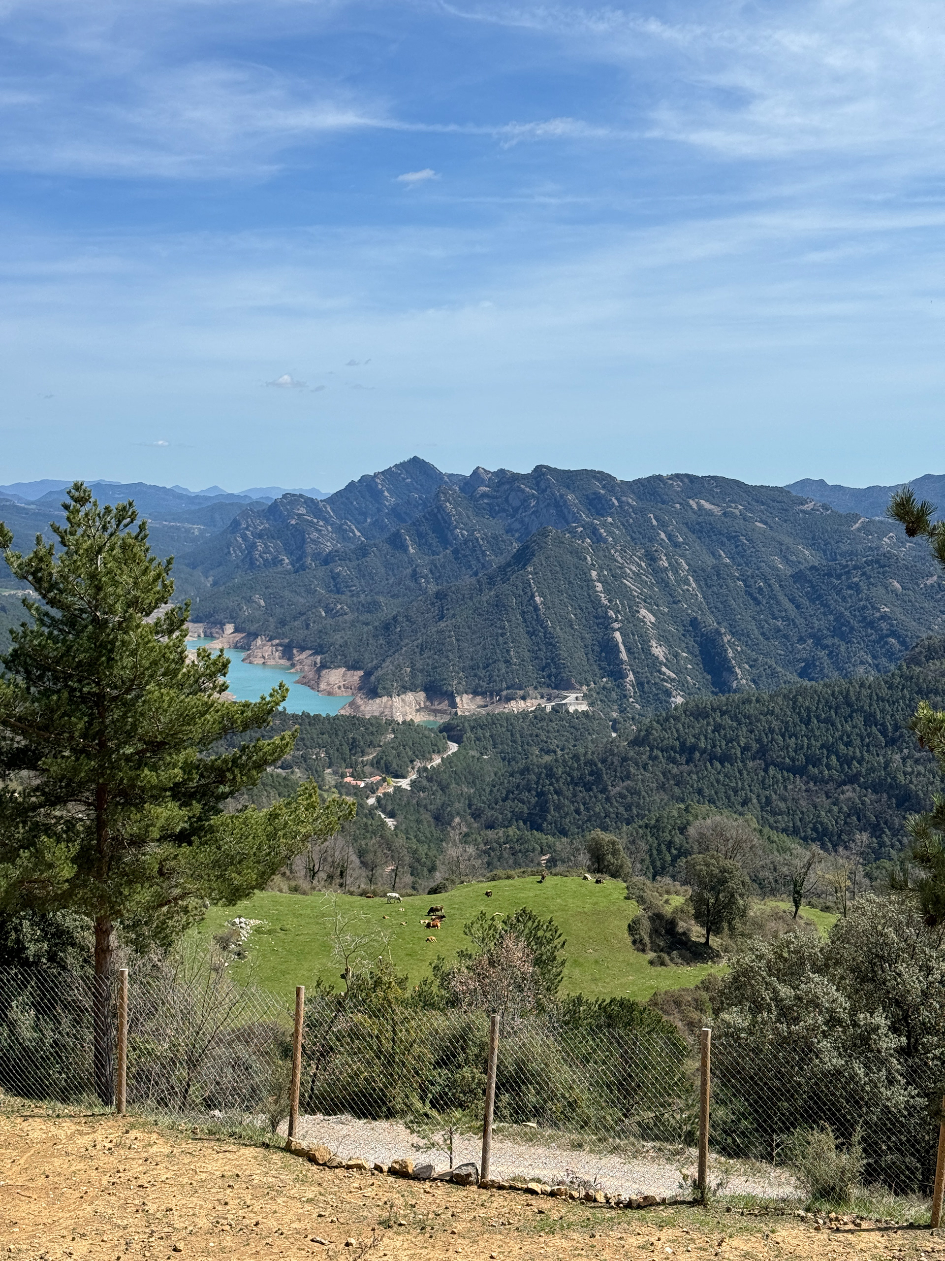 Shot on iPhone 15 Pro Max