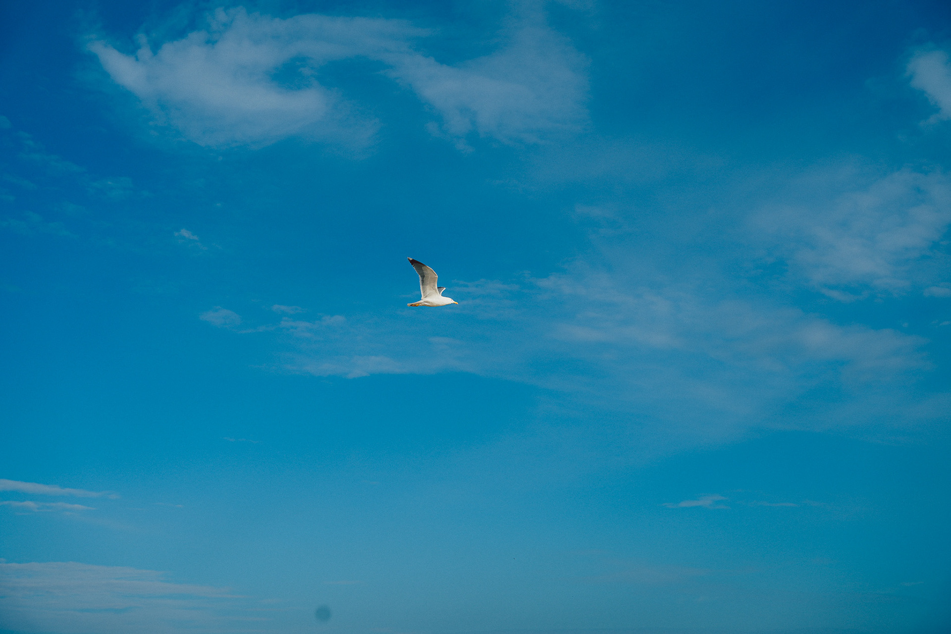 SONY A7 IV