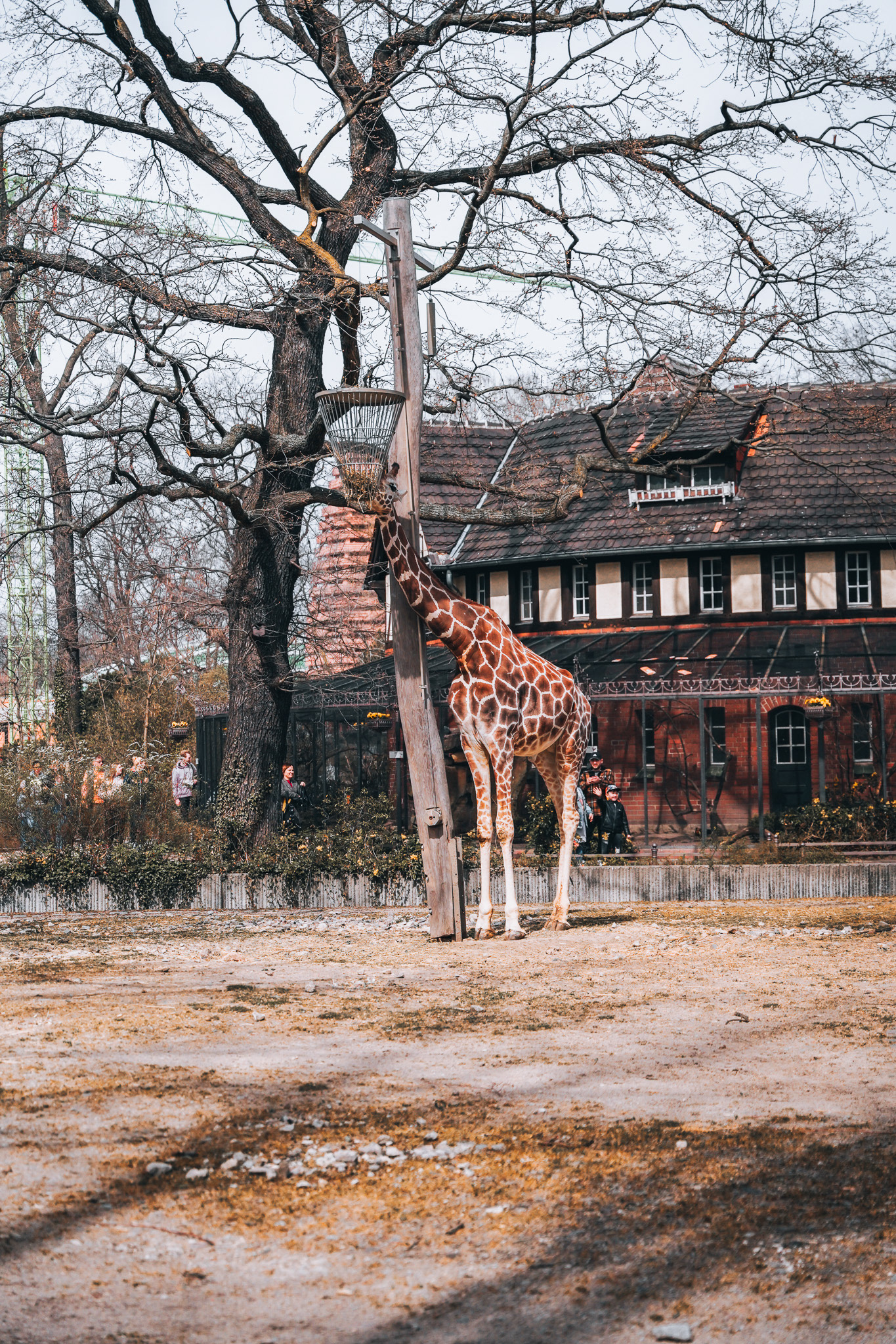 SONY A7 III