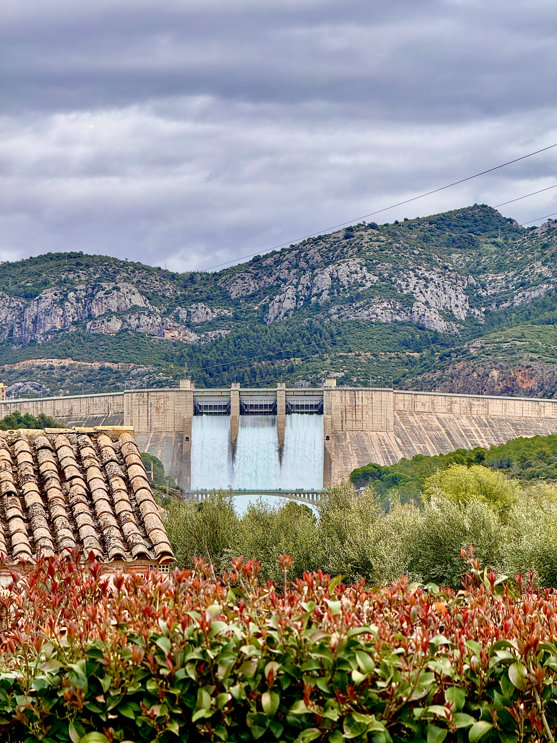 Shot on iPhone 15 Pro Max