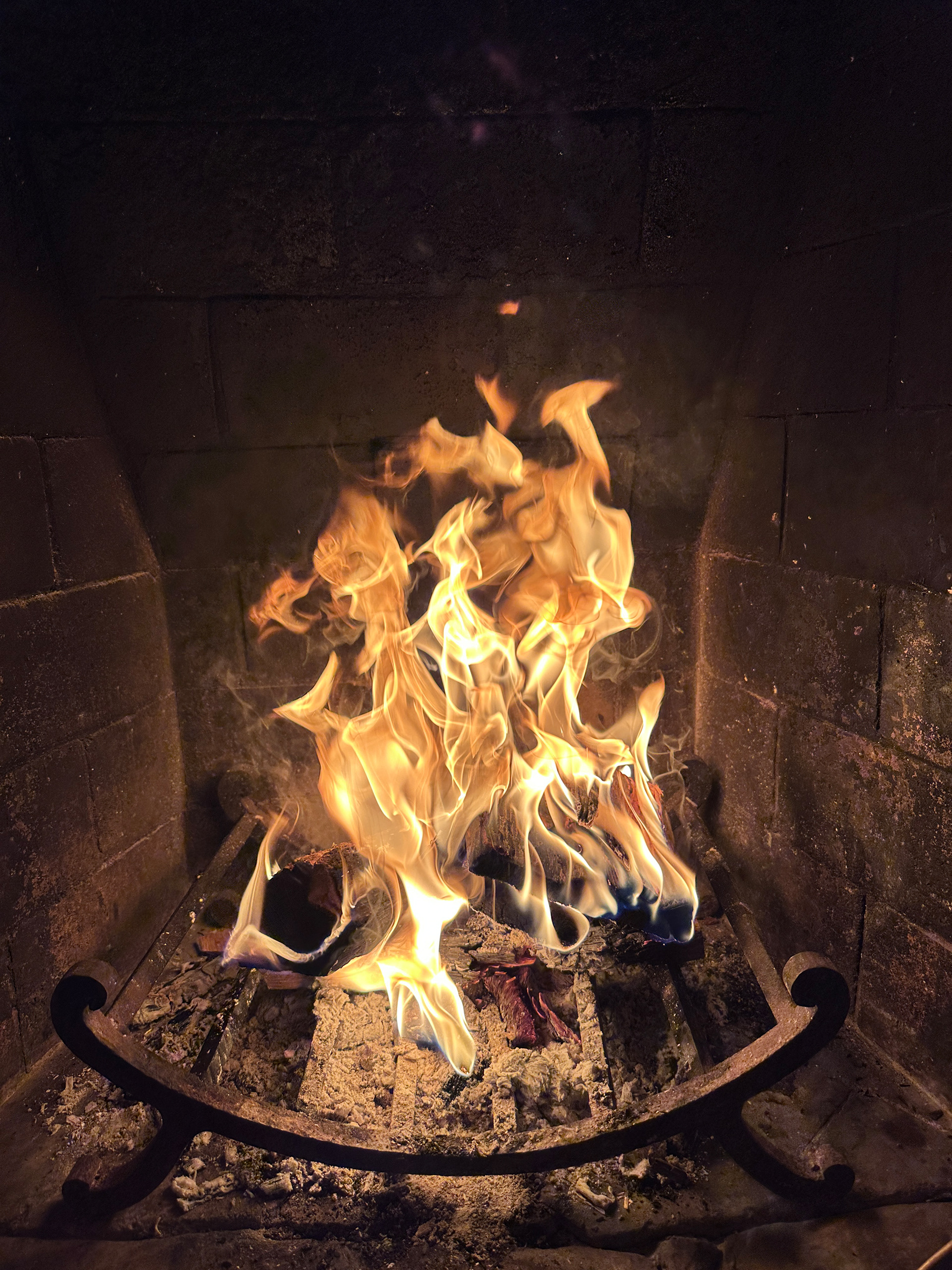 Shot on iPhone 15 Pro Max