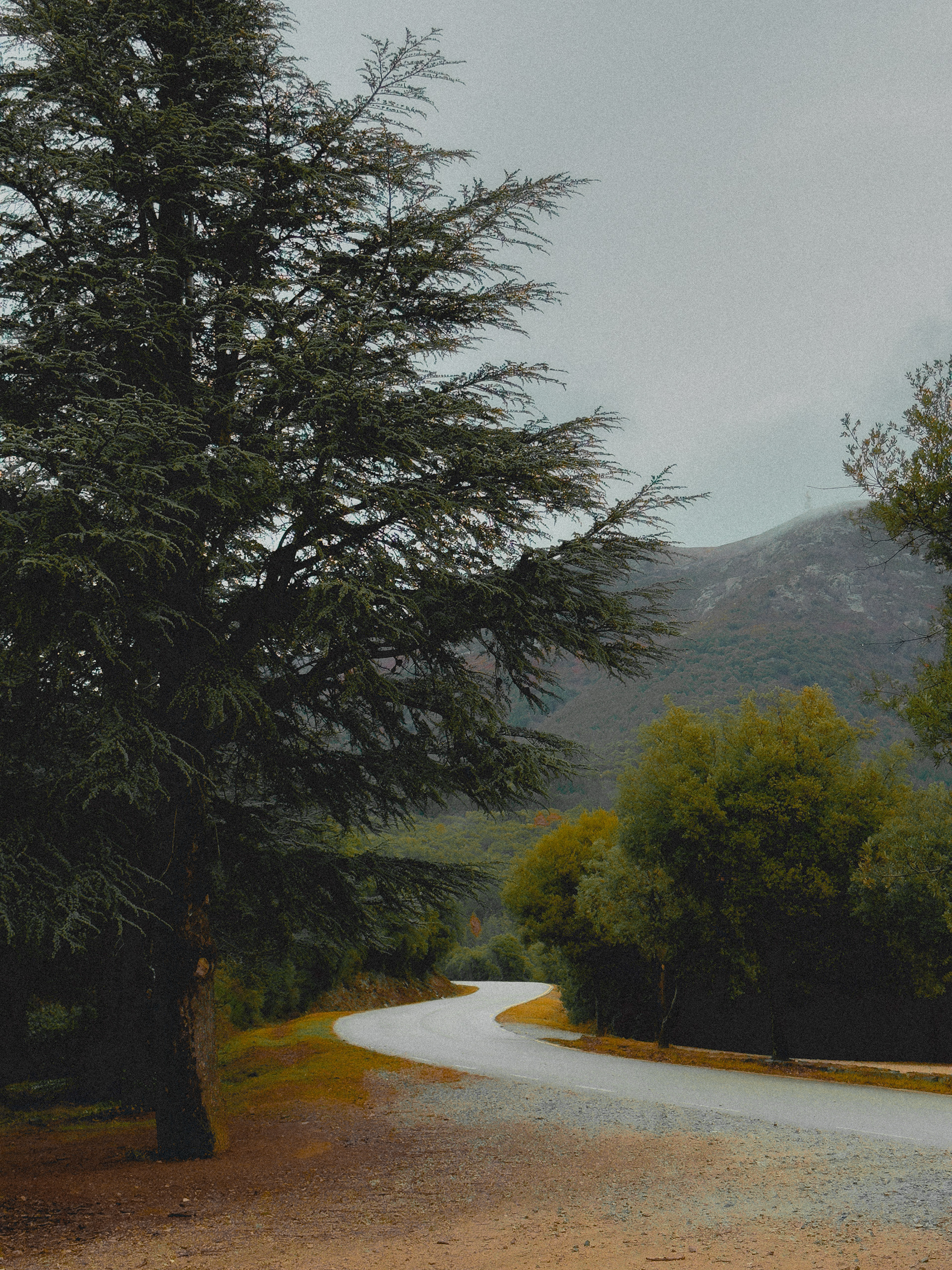 Shot on iPhone 15 Pro Max