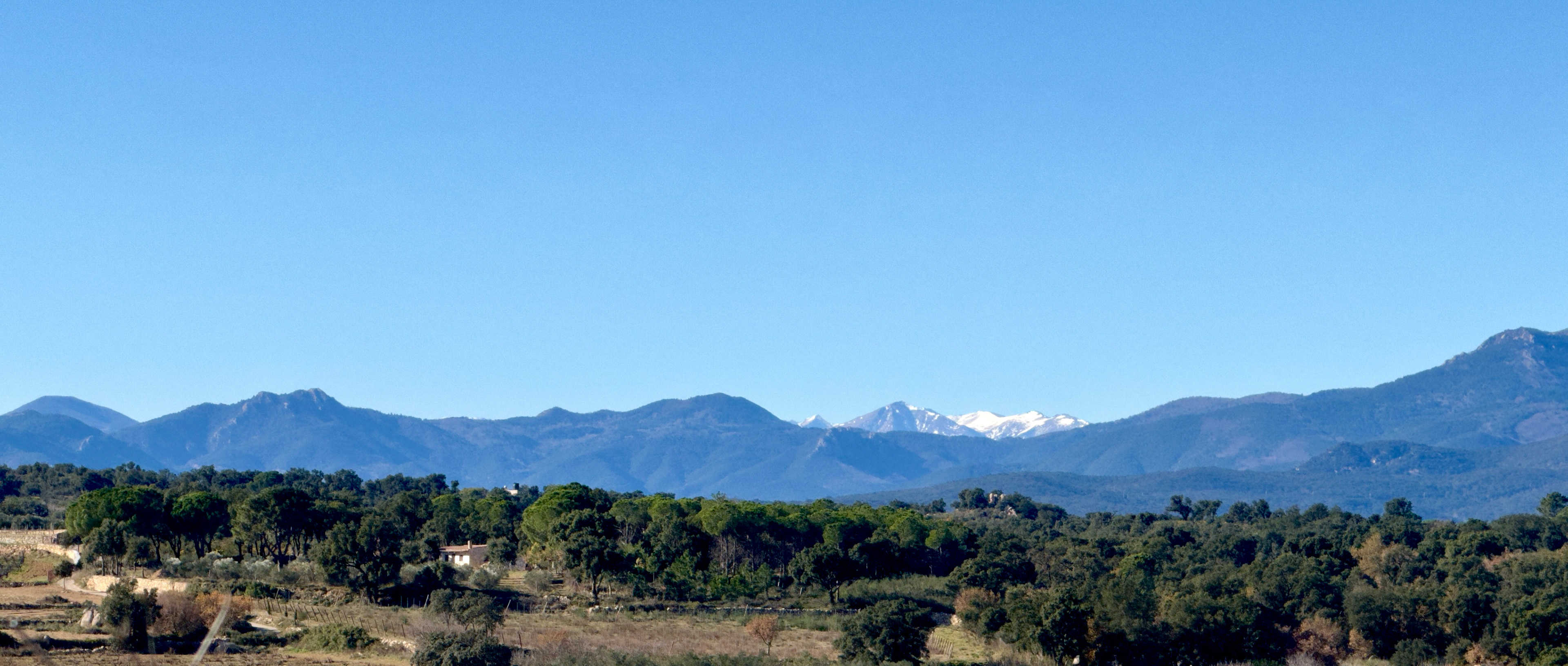 Shot on iPhone 15 Pro Max